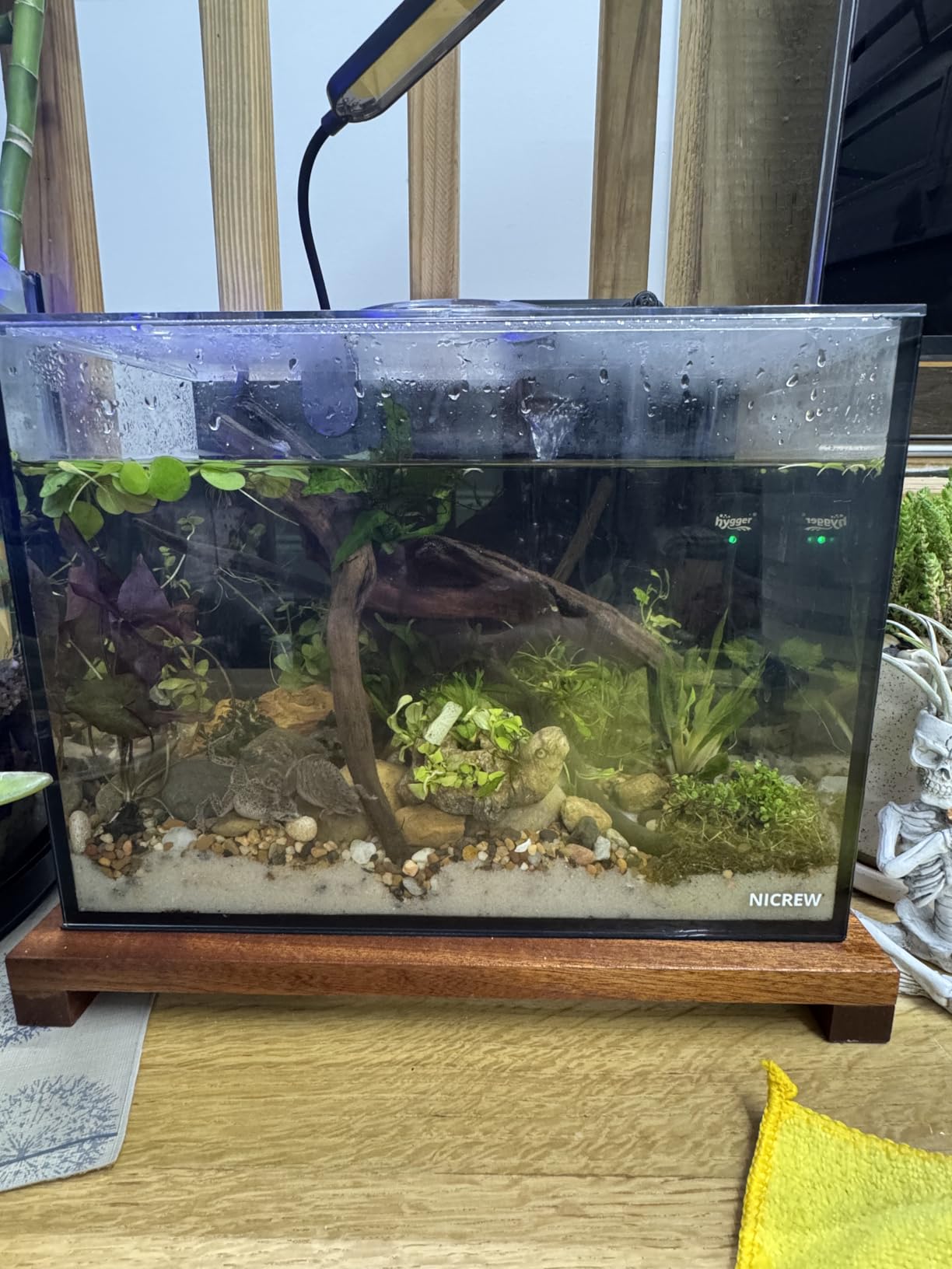 NICREW 2.5 Gallon Nano Nature Aquarium Kit, Ultra-Clear Rimless Desktop Fish Tank with Light, Filter, Gravel and Rock, Perfect for Small Fish, Shrimp, or Betta, Complete Version, Black customer photo 2