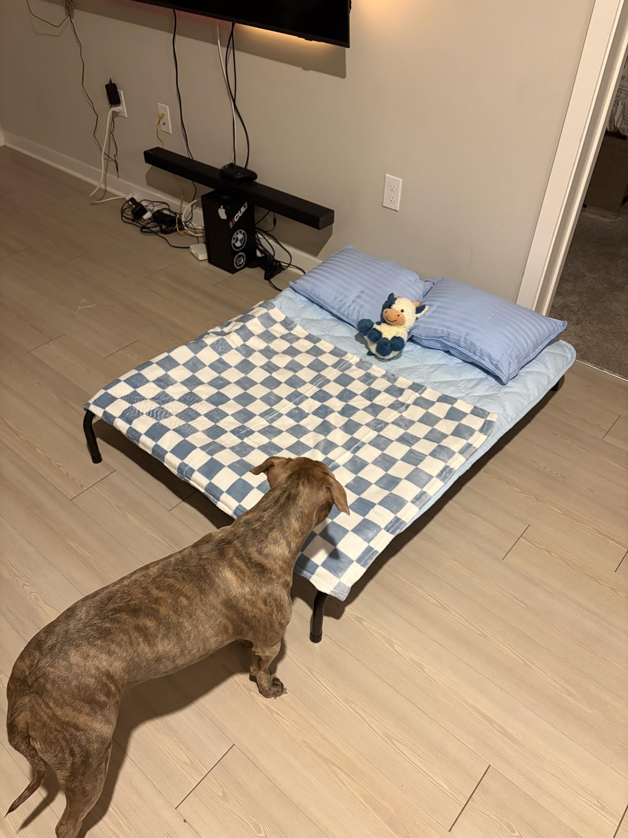 Love's cabin Elevated Cooling Dog Bed for Large Dogs, Portable Indoor & Outdoor Raised Pet Dog Cat Cot, 48 inches customer photo 2