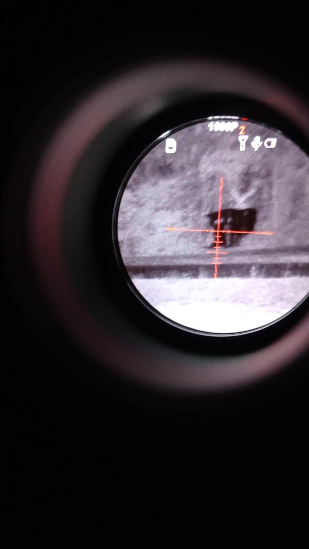 GOYOJO Digital Night Vision Scope, Day & Night Hunting Rifle Optics, 1080P/2K Resolution customer photo 1