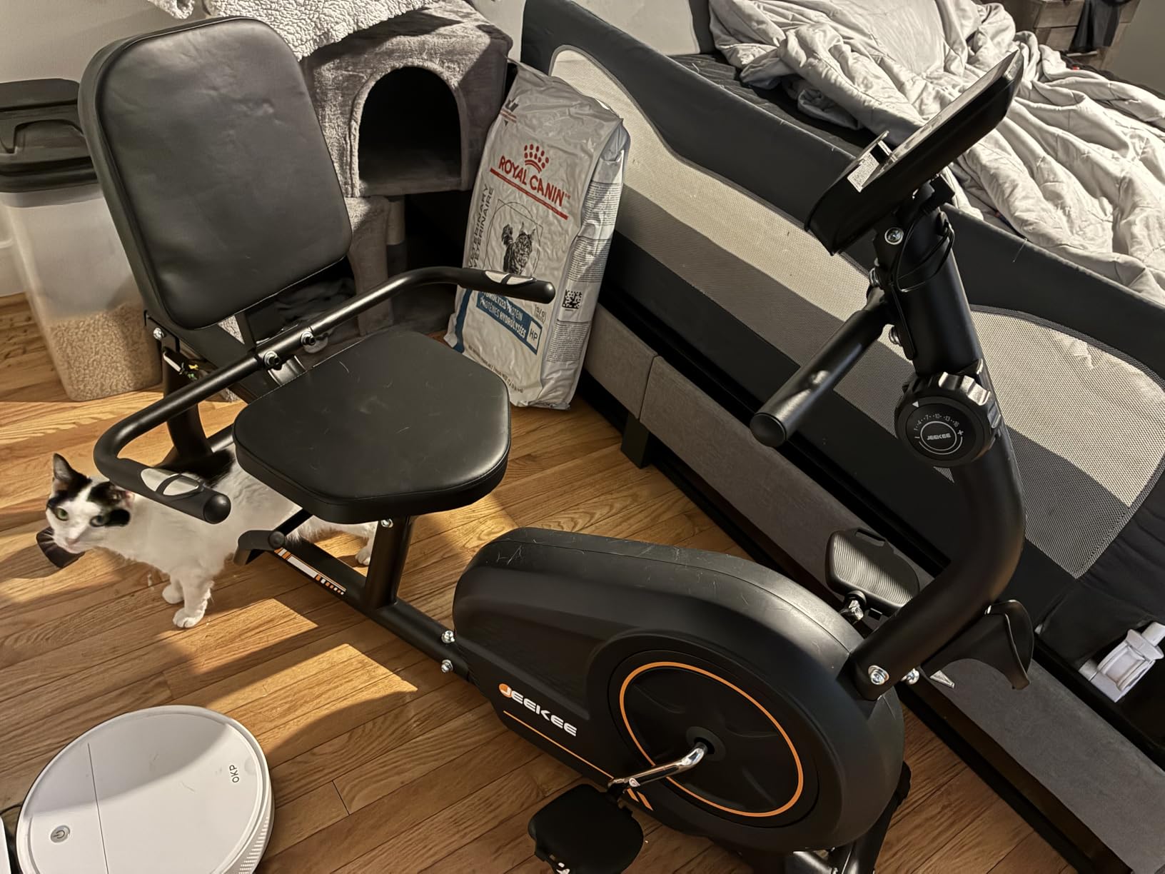 JEEKEE Recumbent Exercise Bike for Seniors, Stationary Bikes for Home, 400LB Capacity & 16 Levels Magnetic Resistance, Heart Rate Handle customer photo 1