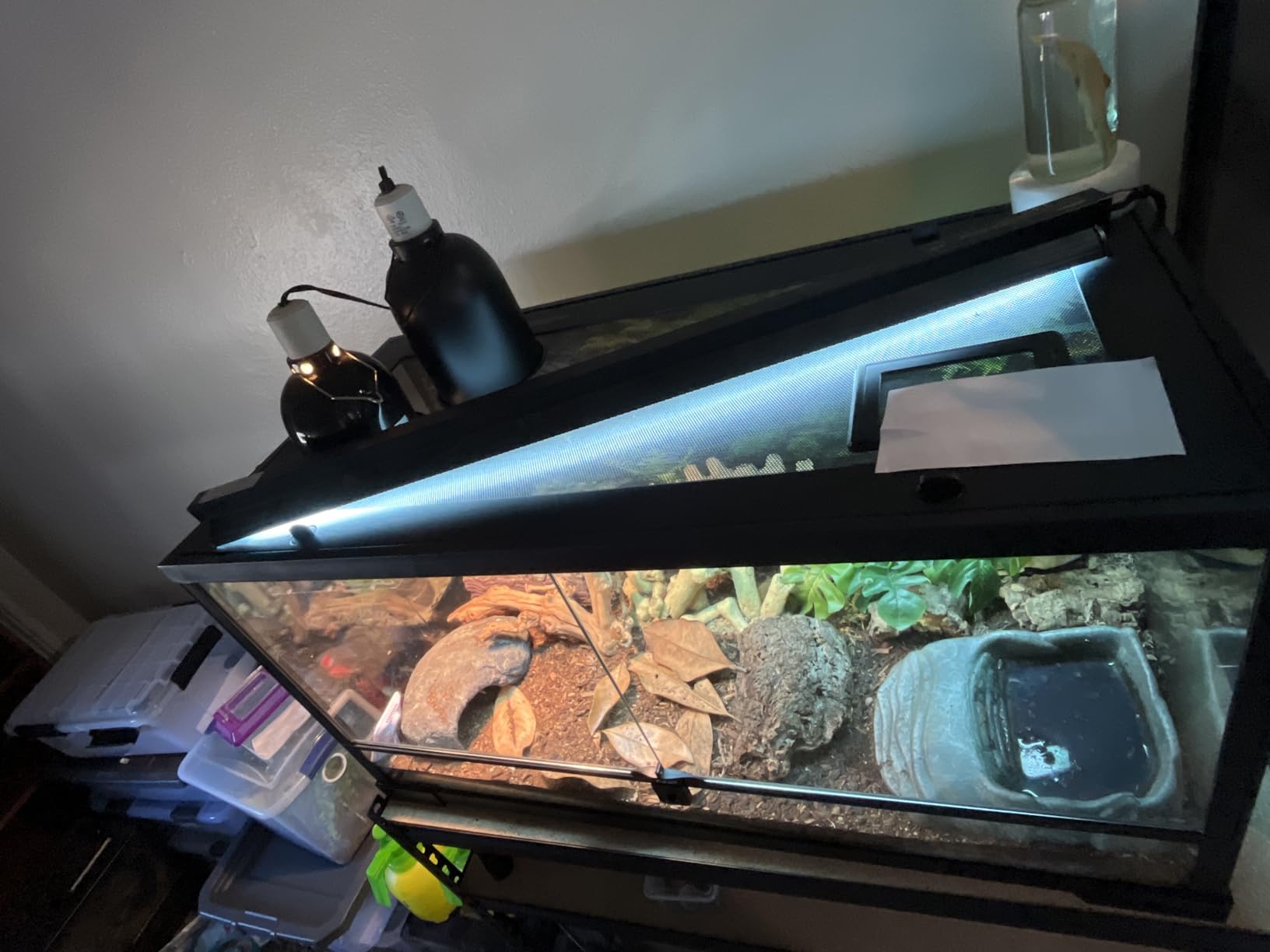 T5 UVB Reptile Light Fixture HO UVB Bulb Lighting Combo Kit, 10.0 UVB Light for Reptiles Terrarium Hood with 8W Reptile Light Bar UVA UVB Desert Lamp for Bearded Dragon Turtle Tank, 12 Inch customer photo 1