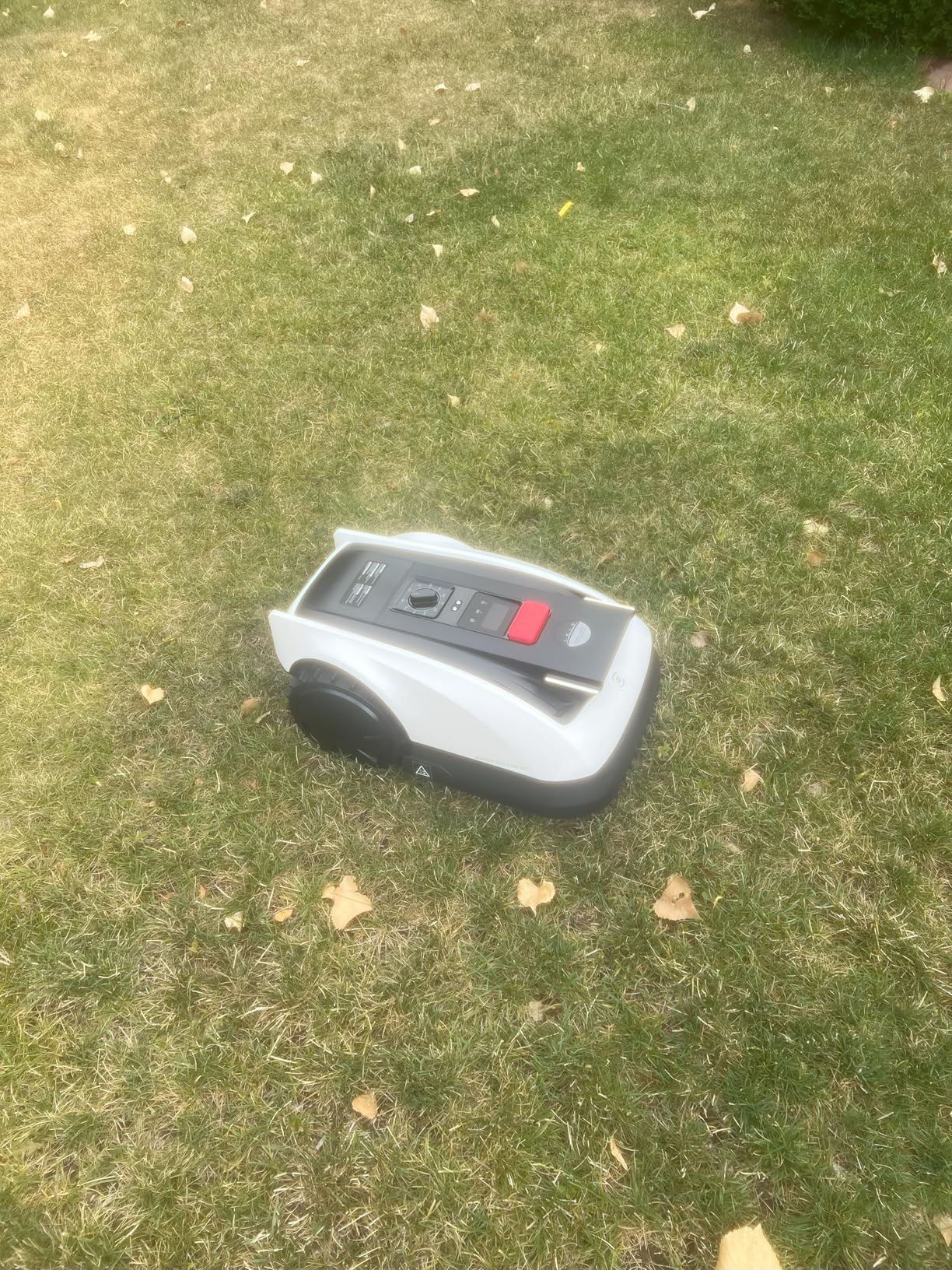 ECOVACS Goat O1000 RTK Robot Lawn Mower, Perimeter Wire Free Vision Robotic Lawnmower for 1/4 Acres Lawn, Automated Mapping, APP Control, 3D Obstacle Avoidance, Zero-Edge Cutting customer photo 1