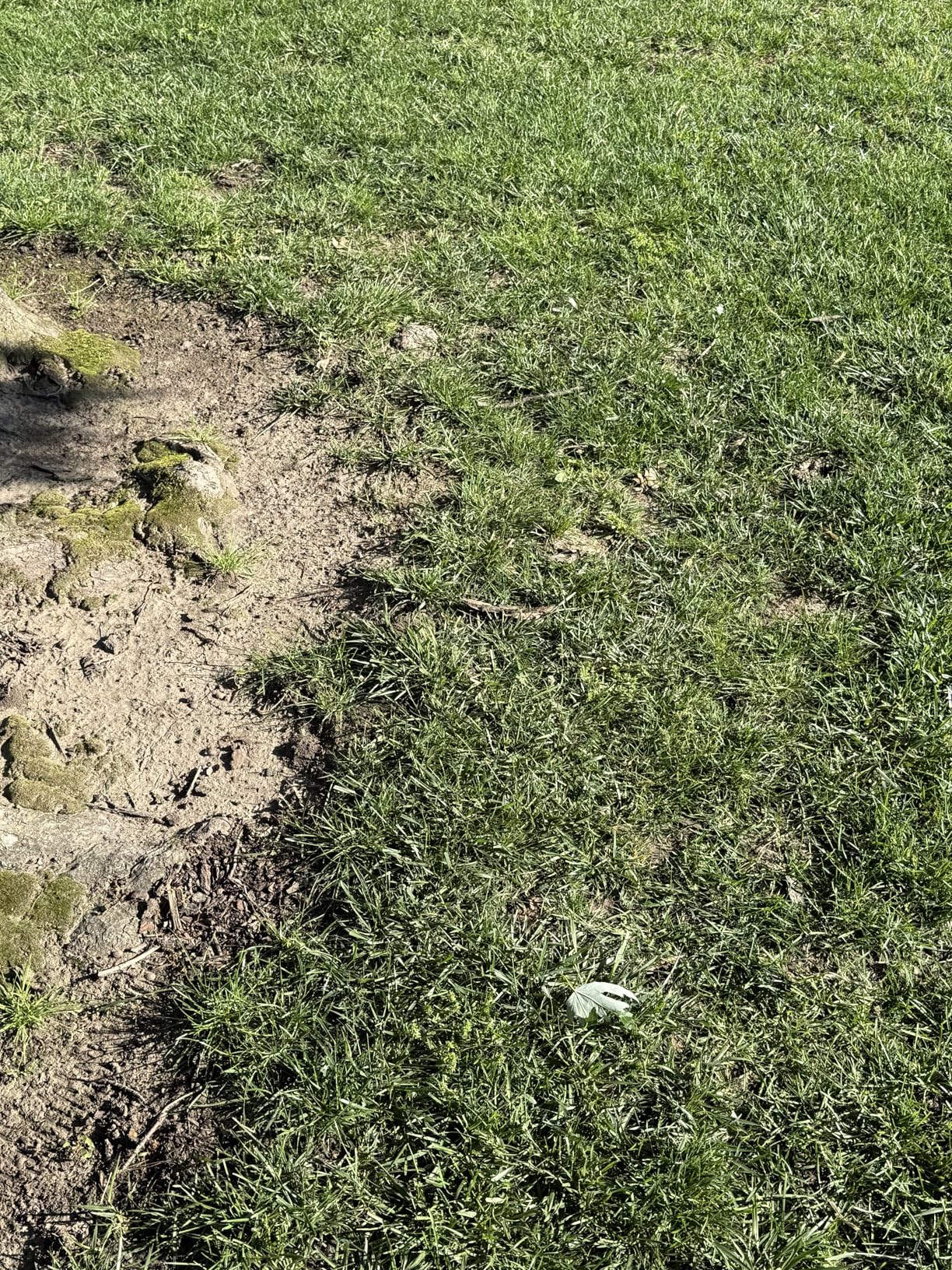 eufy Robot Lawn Mower E15, Auto Mapping, Pure Vision Navigation, Wire Free RTK Free, Multi-Zone Management, AI 3D Obstacle Avoidance, GPS Anti-Theft, 0.2 Acres, 18° Slope, App Control customer photo 1