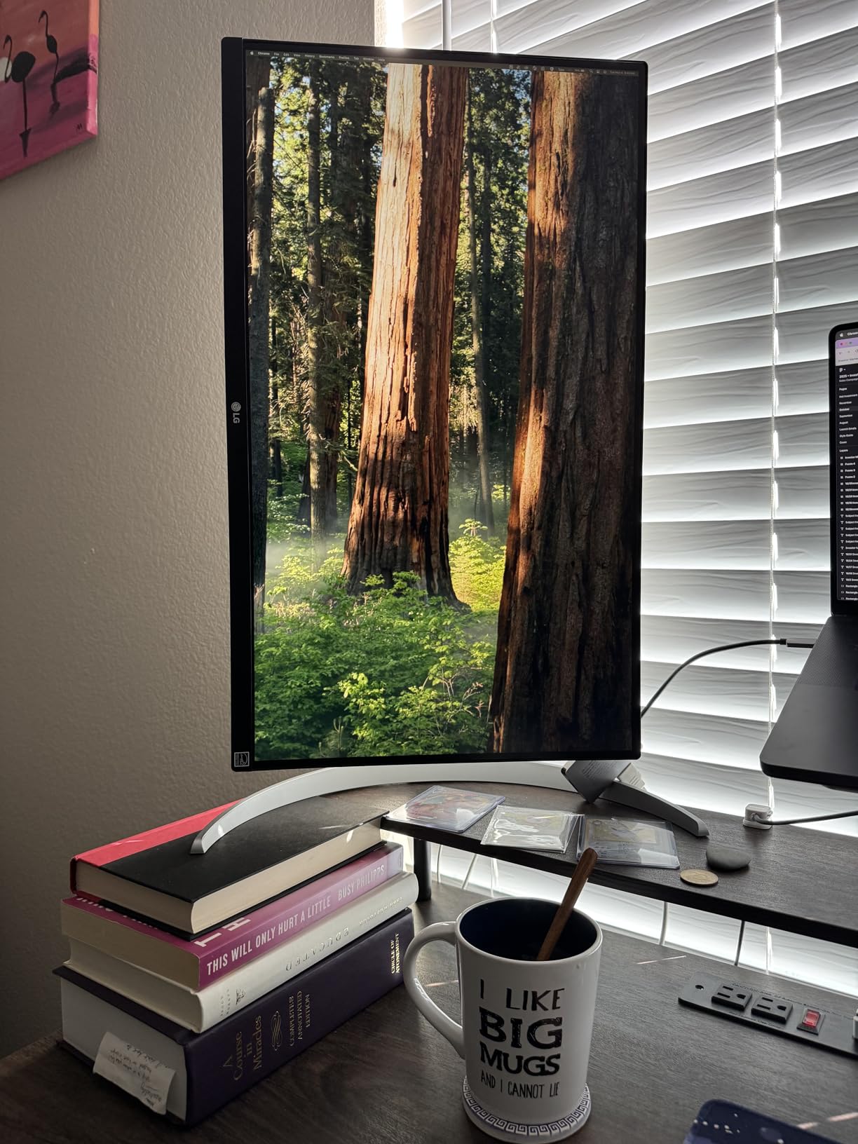 LG 27UP650K-W 27-inch Ultrafine 4K UHD (3840 x 2160) IPS Computer Monitor, 60Hz, 5ms, DisplayHDR 400, Reader Mode, Flicker Safe, HDMI, DisplayPort, Tilt/Height/Pivot Adjustable Stand customer photo 2