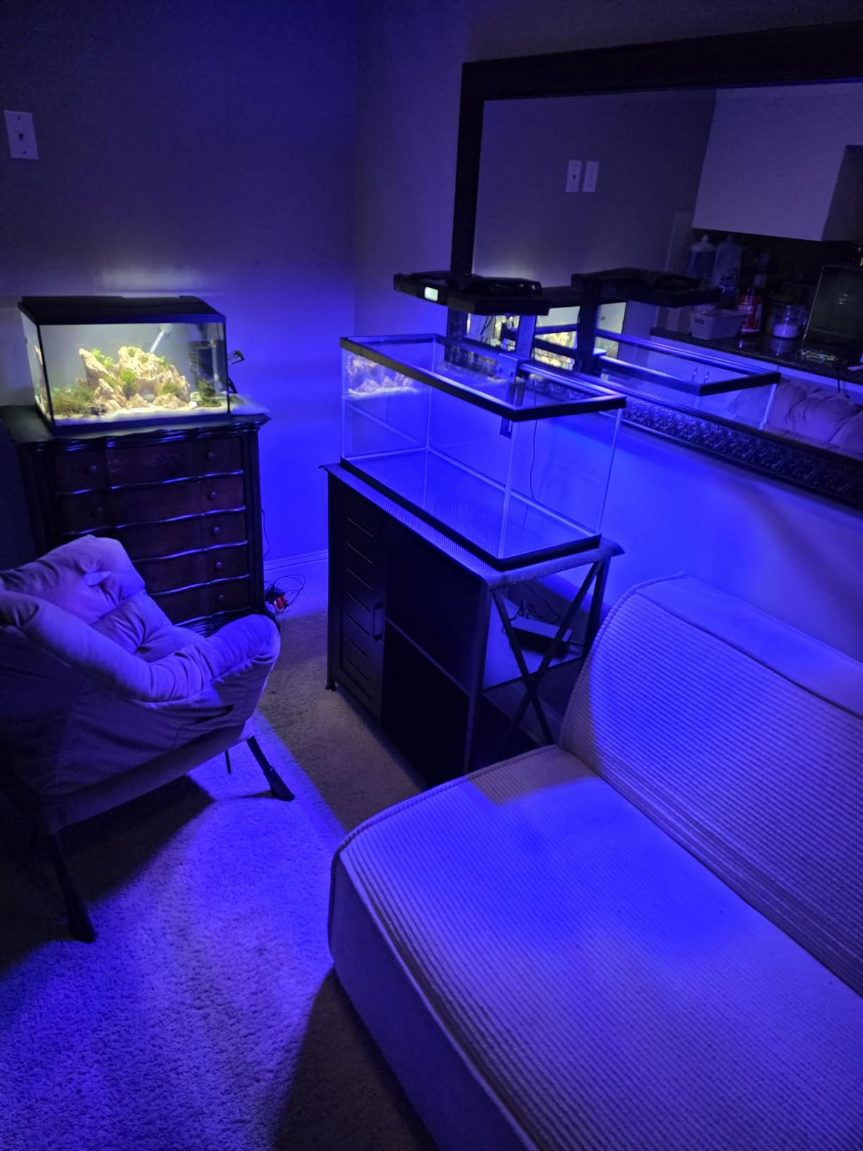 SEAOURA LED Reef Light for Corals, 120W Coral Lights for Reefs Aquarium Tanks, 395nm to 665nm Full Spectrum Programmable with 24/7 Custom Timer for Saltwater Fish Tank SPS LPS customer photo 1