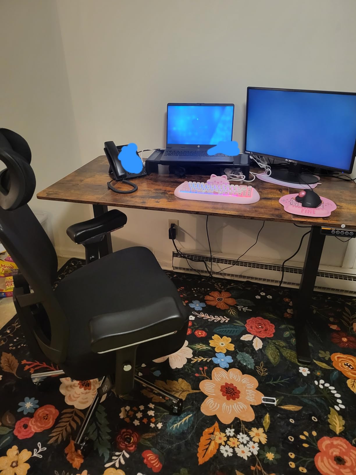 Huuger 55 x 28 Large Electric Standing Desk, Height Adjustable Computer Desk, 27.6