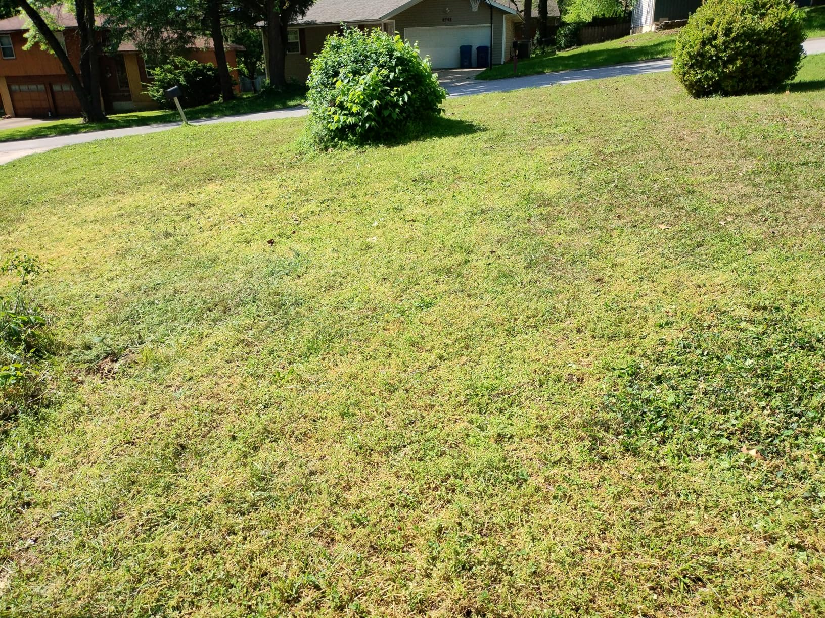 LawnMaster LMRM1801 Push Reel Lawn Mower 18-Inch 5-Blade customer photo 1