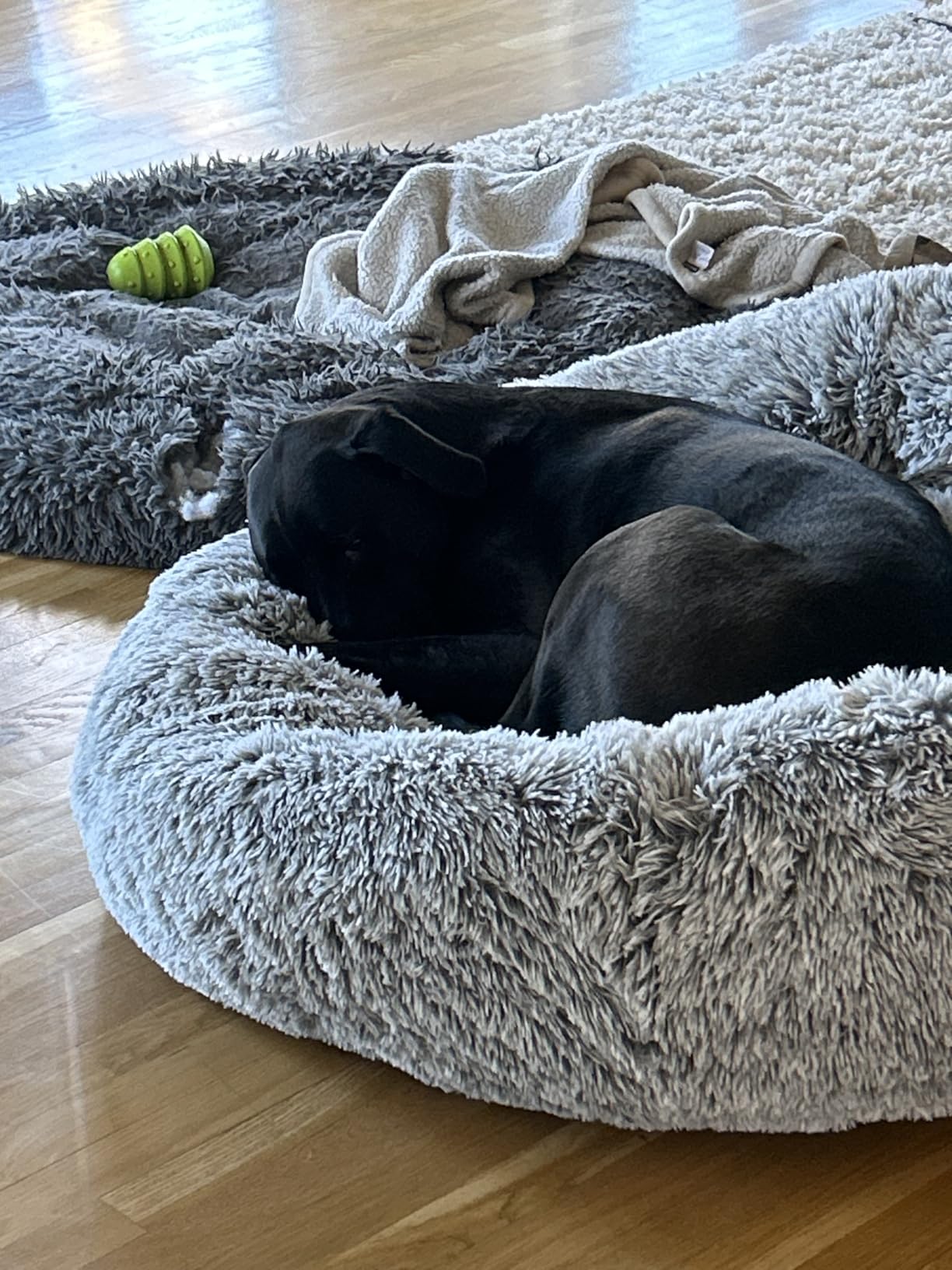 36 inches Donut Dog Bed for Large Dogs - Calming Fluffy Round Pet Bed with Removable & Washable Cover,Fits up to 80 lbs Pets (Dark Grey,Large) customer photo 1