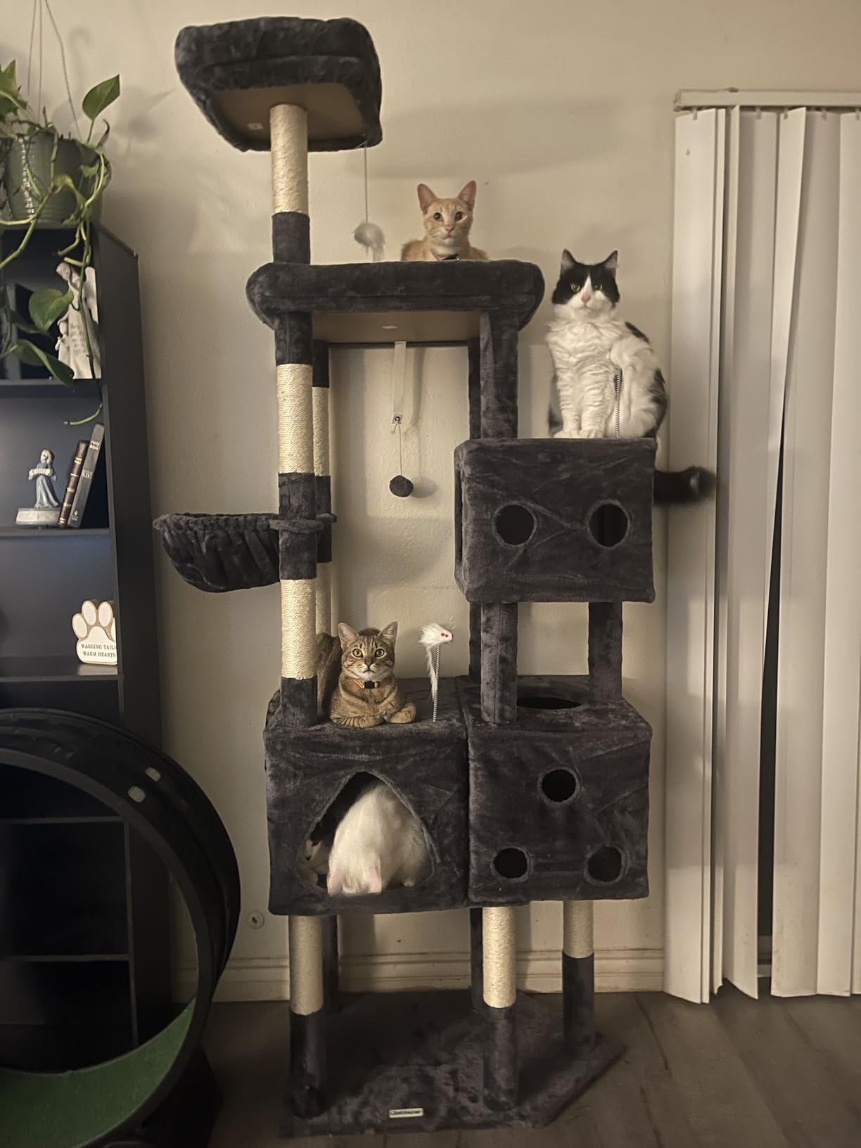 Globlazer Extra Large Cat Tower, 81-inch Tall Cat Tree for Big Cats 20 lbs, XXL Heavy Duty Cat Scratching Tower for Indoor Adult Cats with 3 Cat Condos, 8 Scratching Posts, F81, Dark Grey customer photo 1