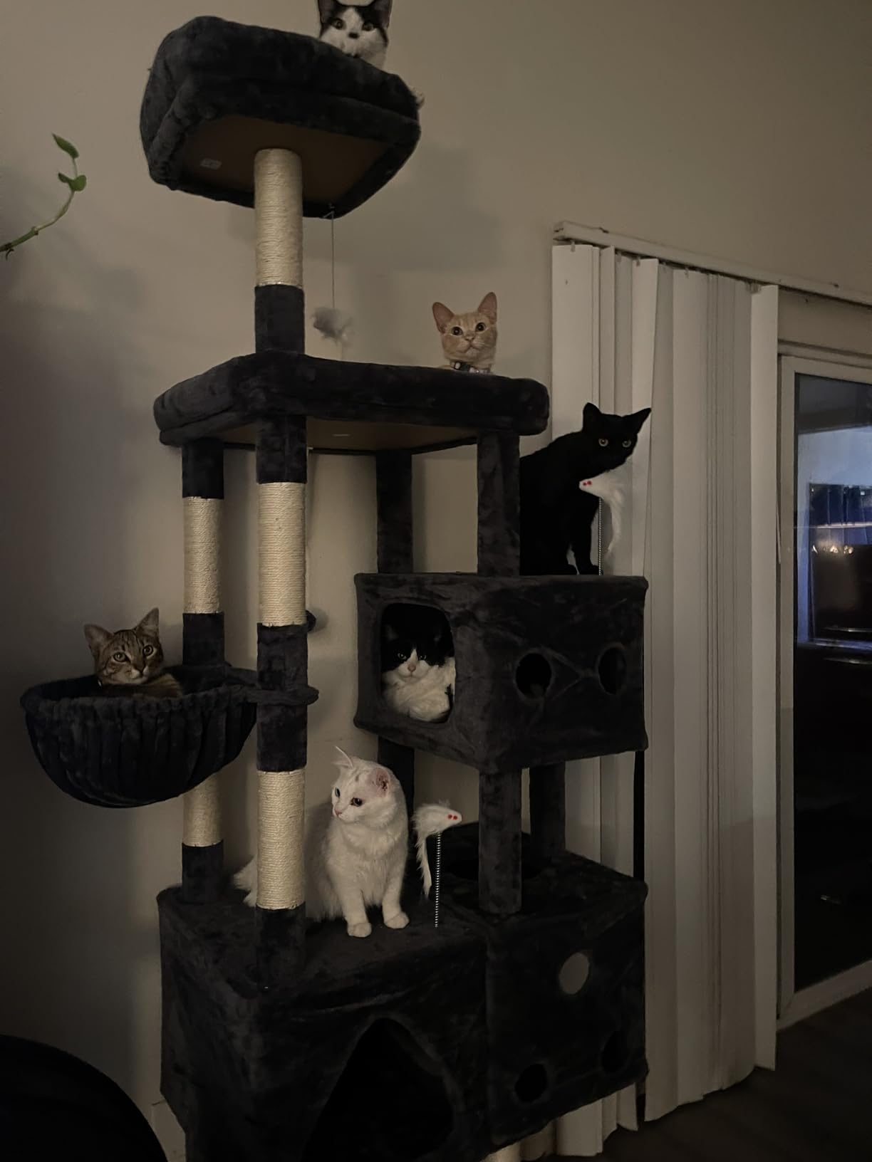 Globlazer Extra Large Cat Tower, 81-inch Tall Cat Tree for Big Cats 20 lbs, XXL Heavy Duty Cat Scratching Tower for Indoor Adult Cats with 3 Cat Condos, 8 Scratching Posts, F81, Dark Grey customer photo 2