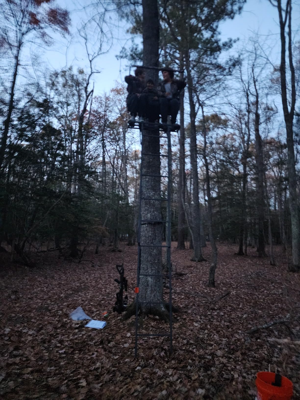 Guide Gear 16.5' 2-Man Ladder Tree Stand for Hunting Elevated Climbing Seat Hunting Gear Equipment Accessories customer photo 1