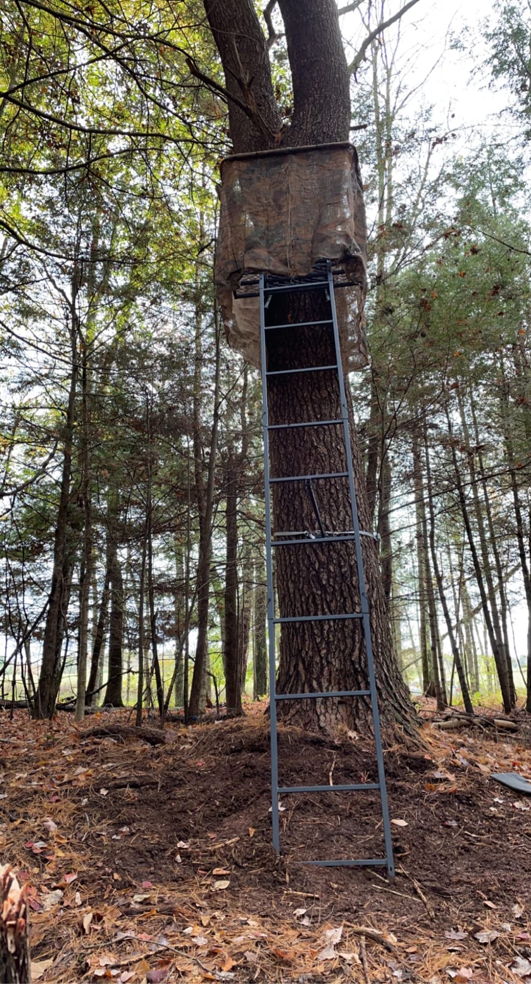 Guide Gear 16.5' 2-Man Ladder Tree Stand for Hunting Elevated Climbing Seat Hunting Gear Equipment Accessories customer photo 2