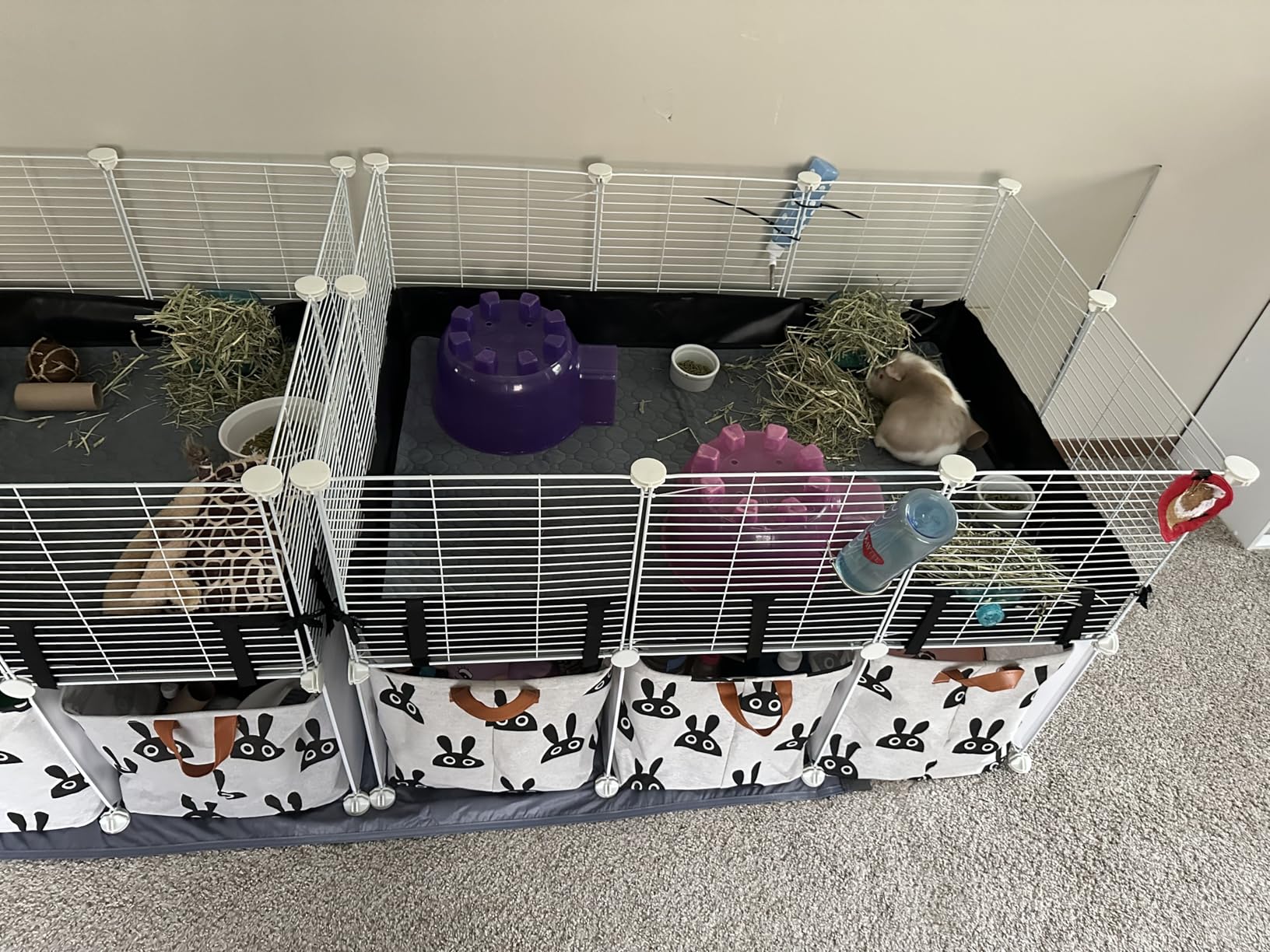 MEEXPAWS Guinea Pig Cages Small Animal Playpen with Waterproof PVC Liner & Washable Pee Pad & Storage Space, C&C Cage for Guinea Pigs, Hedgehog, Hamsters, Ferrets, Indoor Enclosure Wire Yard Playpen customer photo 1