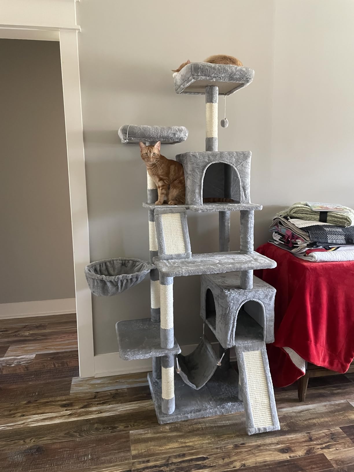 Gitelsnour Cat Tree for Indoor Cats, 71
