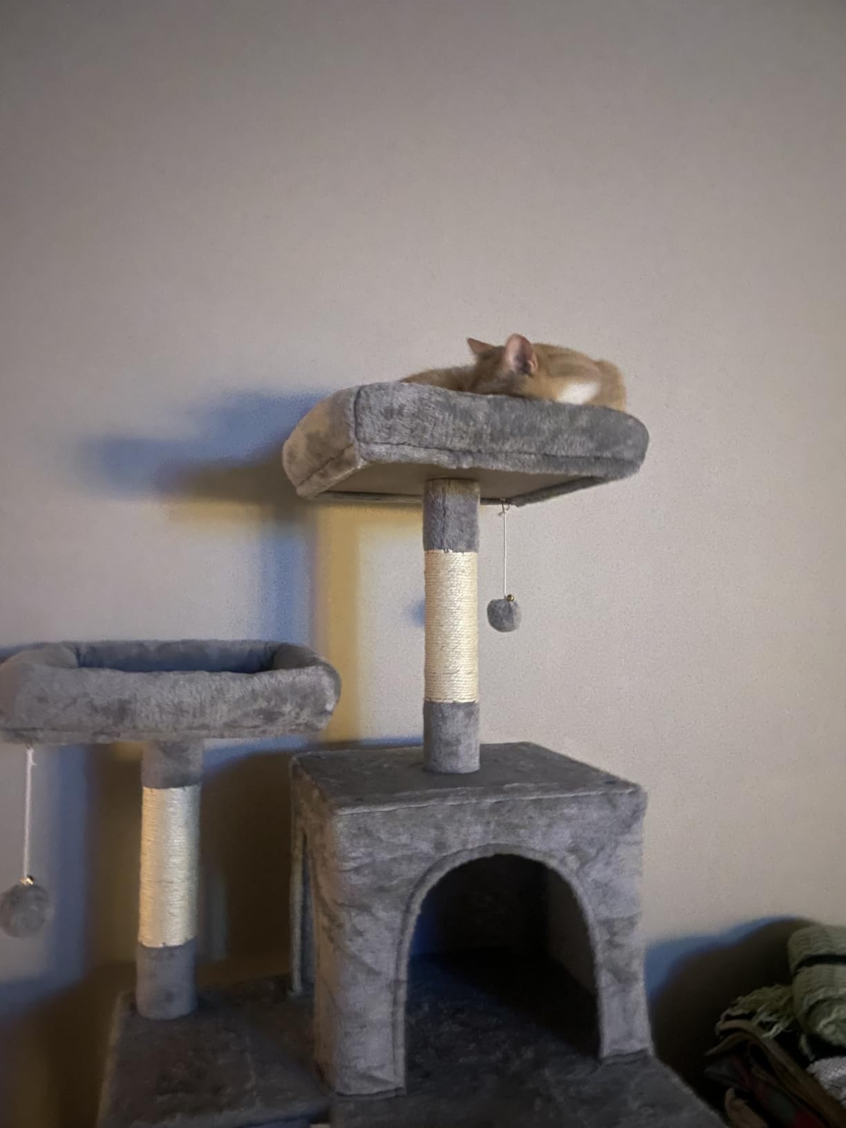 Gitelsnour Cat Tree for Indoor Cats, 71