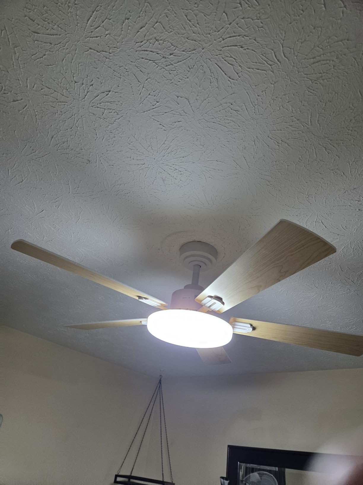 Passky Ceiling Fans with Lights, 52 inch Sleek Ceiling Fan with Light and Remote Control, 3CCT, Dimmable, Reversible, Noiseless, Black Ceiling Fan for Bedroom, Living Room customer photo 2