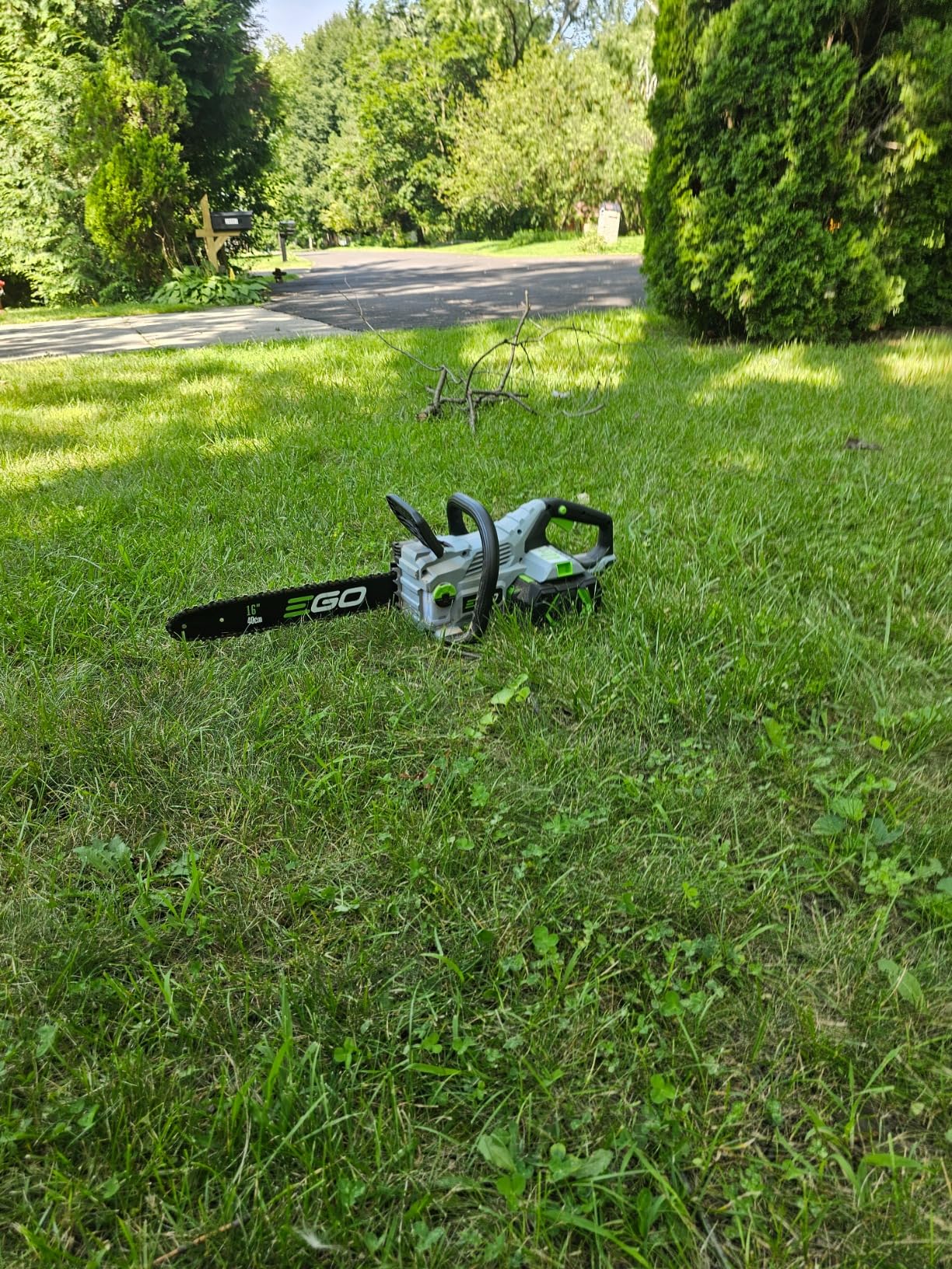 SEESII 40V 16-Inch Cordless Chainsaw: Brushless Electric Chain Saws with 2x4.0Ah Batteries & Charger, Tool-Free Chain Tension, Auto Oiling, for Tree Trimming, Wood Cutting, Yard Work customer photo 2