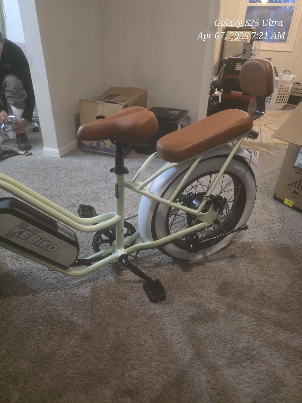 Electric Bike for Adults, 20