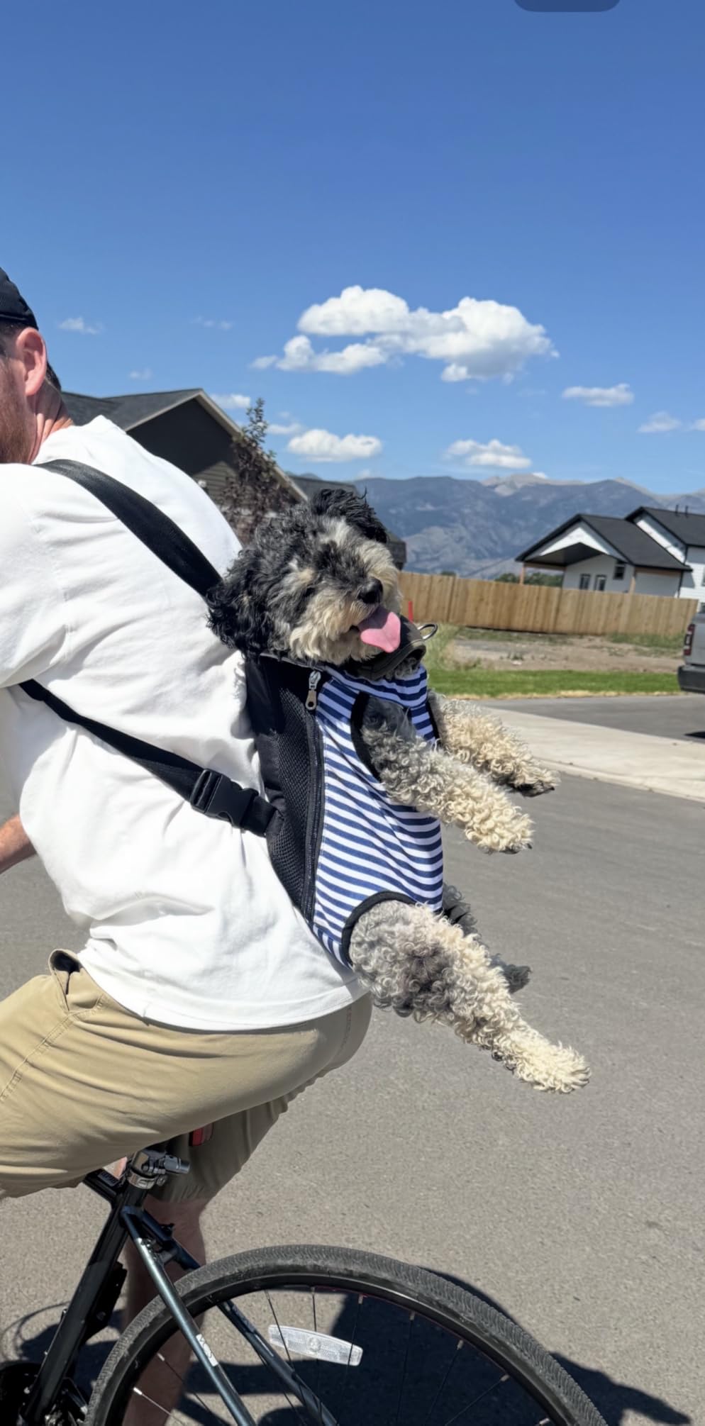 Pawaboo Pet Dog Front Carrier Backpacks, Legs Out Pet Carrier Backpack for Dogs, Adjustable Dog Chest Carriers Purse for Small Medium Dogs Hands Free for Travel Hiking Cycling Camping, XL, Black customer photo 2