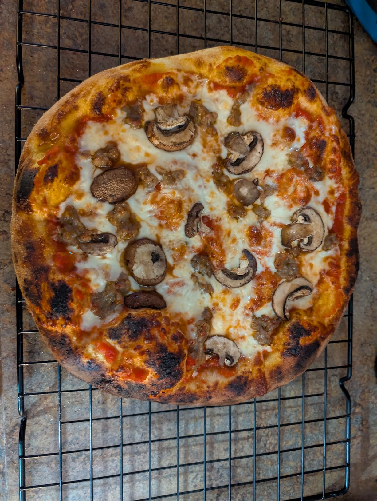 BIG HORN 14-Inch Indoor Pizza Oven, 850°F High-Heat Electric Countertop Pizza Oven for Restaurant-Style Artisan Pizza with Pizza Stone and Pizza Peel, PID Precision Temperature Control customer photo 2