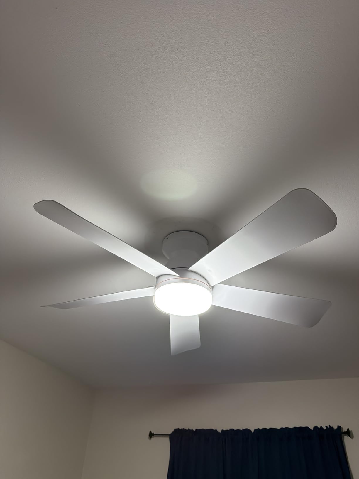 Depuley Modern Ceiling Fan with Light: 42-Inch Black Small Fans for Bedroom Indoor Outdoor - Dimmable Low Profile Ceiling Fans with Remote Control Flush Mount 5 Reversible Black Blades 6 Speeds Timer customer photo 1