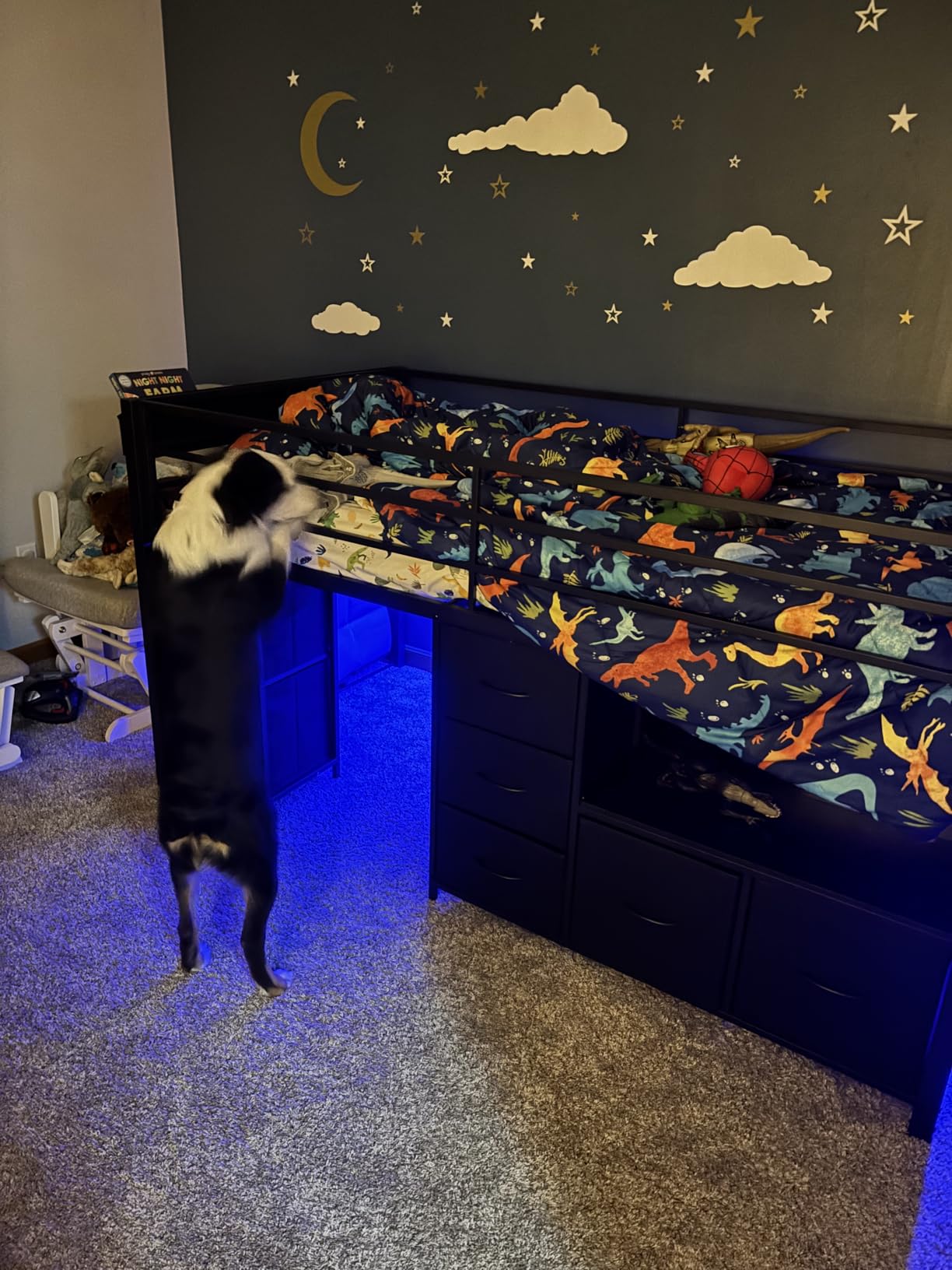 ADORNEVE Low Loft Bed Twin Size with 7 Storage Drawers, Bookcase and LED Lights, Metal Kids Loft Bed with 14