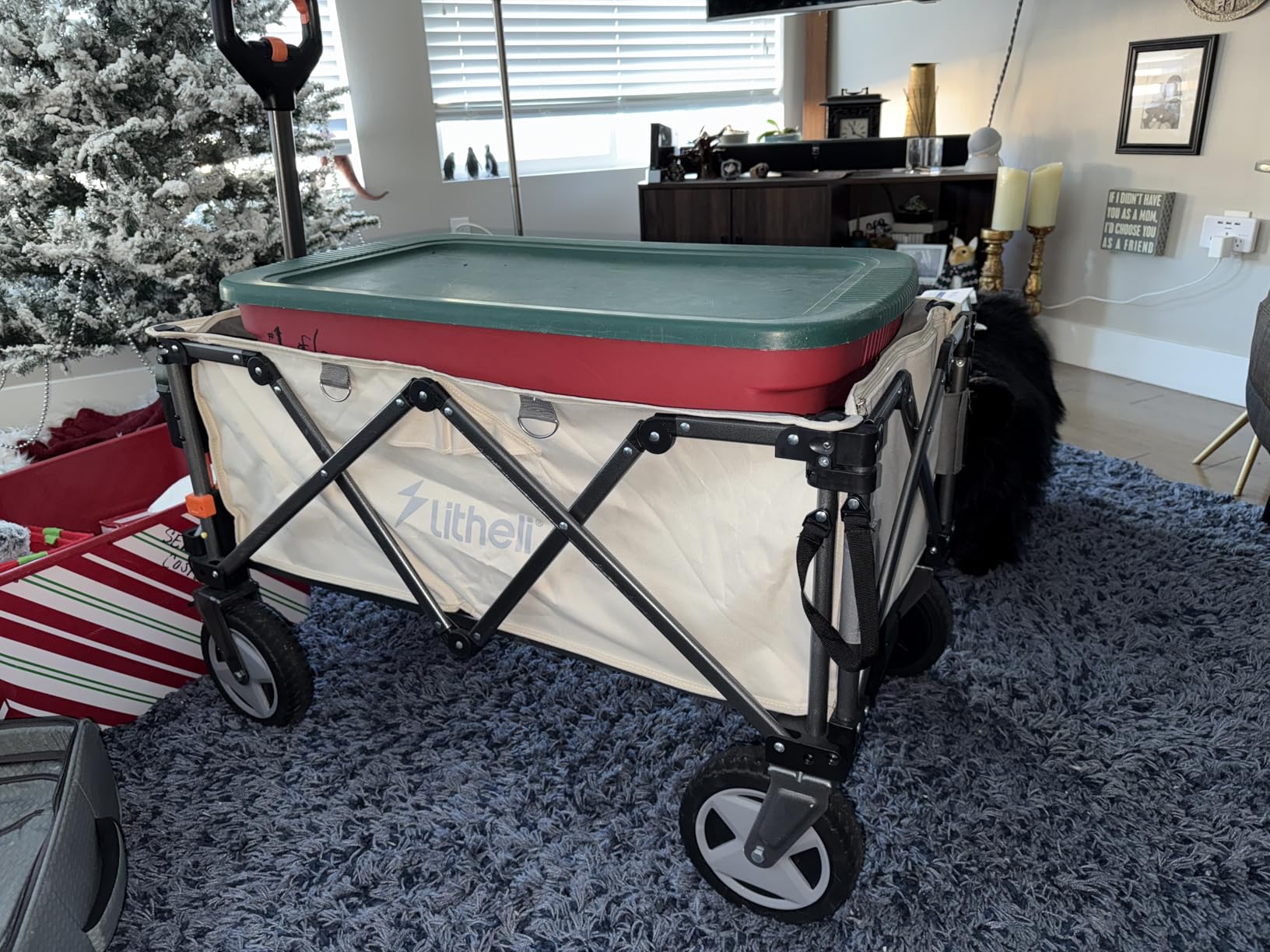 Litheli Electric Wagon Cart with 1 Battery, All-Terrain Wheels & Variable Speed | 200L Capacity, 300 lbs Heavy-Duty Utility Wagon for Camping Beach Garden Shopping customer photo 1