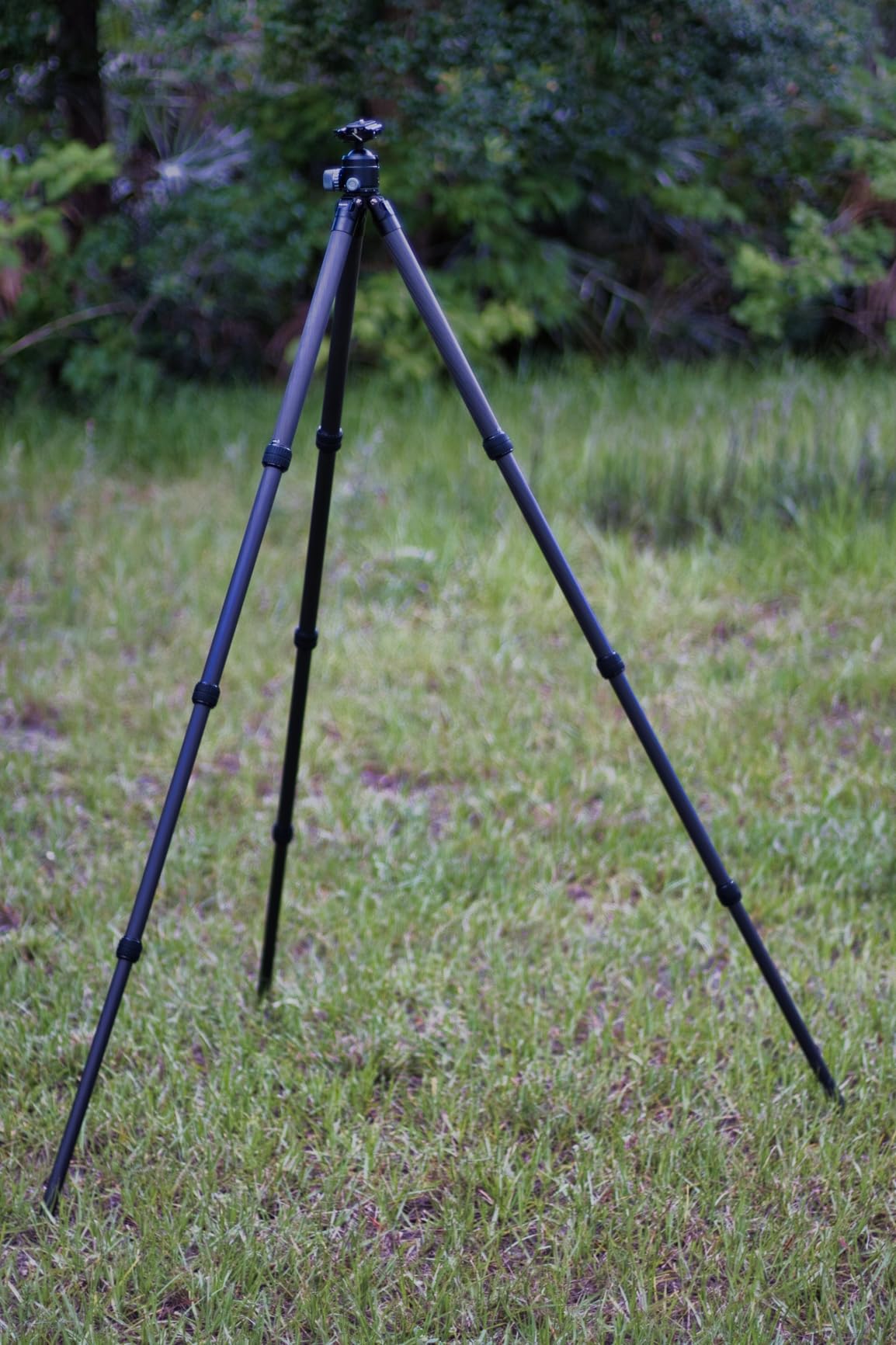 Manbily Carbon Fiber Hunting Tripod with 44mm Ball Head and Arca Swiss & Picatinny Adapters, 62.2