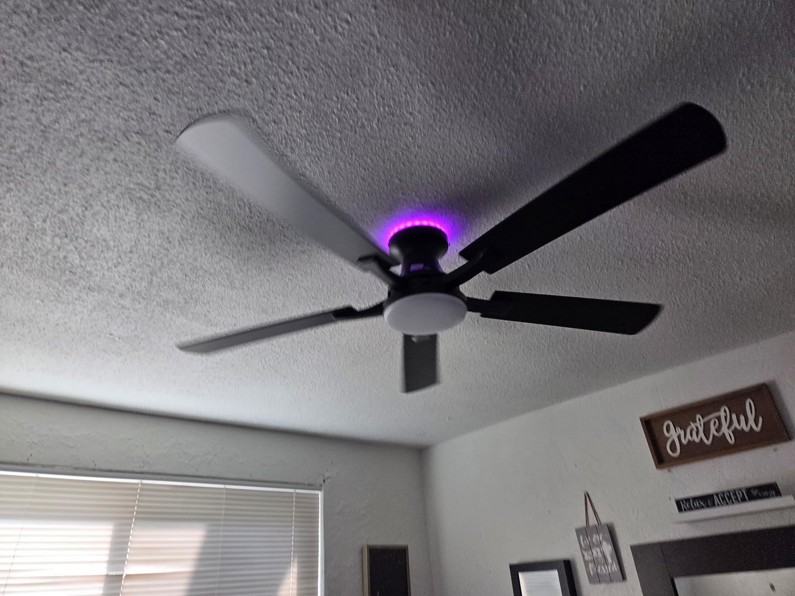 ZMISHIBO 52 Inch Smart Ceiling Fans with RGB Lights, Low Profile Flush Mount Ceiling Fan with Alexa/App/Remote Control, Dimmable 20W LED Light, Black Modern Fan for Living Room, Bedroom, Game Room customer photo 1