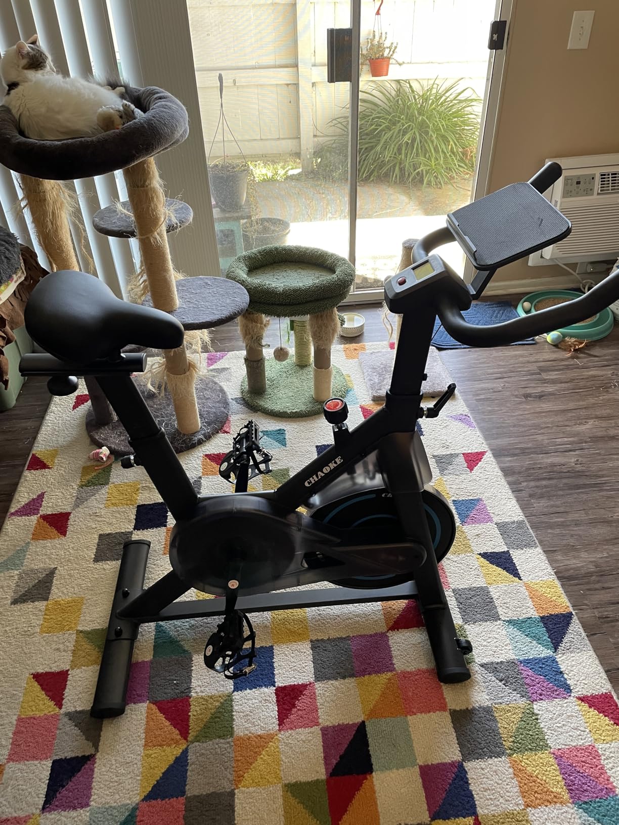 Exercise Bike, CHAOKE Quiet Adjustable Magnetic Resistance Stationary Bike for Home Cardio with App Compatible, 350LB Weight Capacity Indoor Cycling Bike with Comfortable Seat & Digital Display customer photo 1