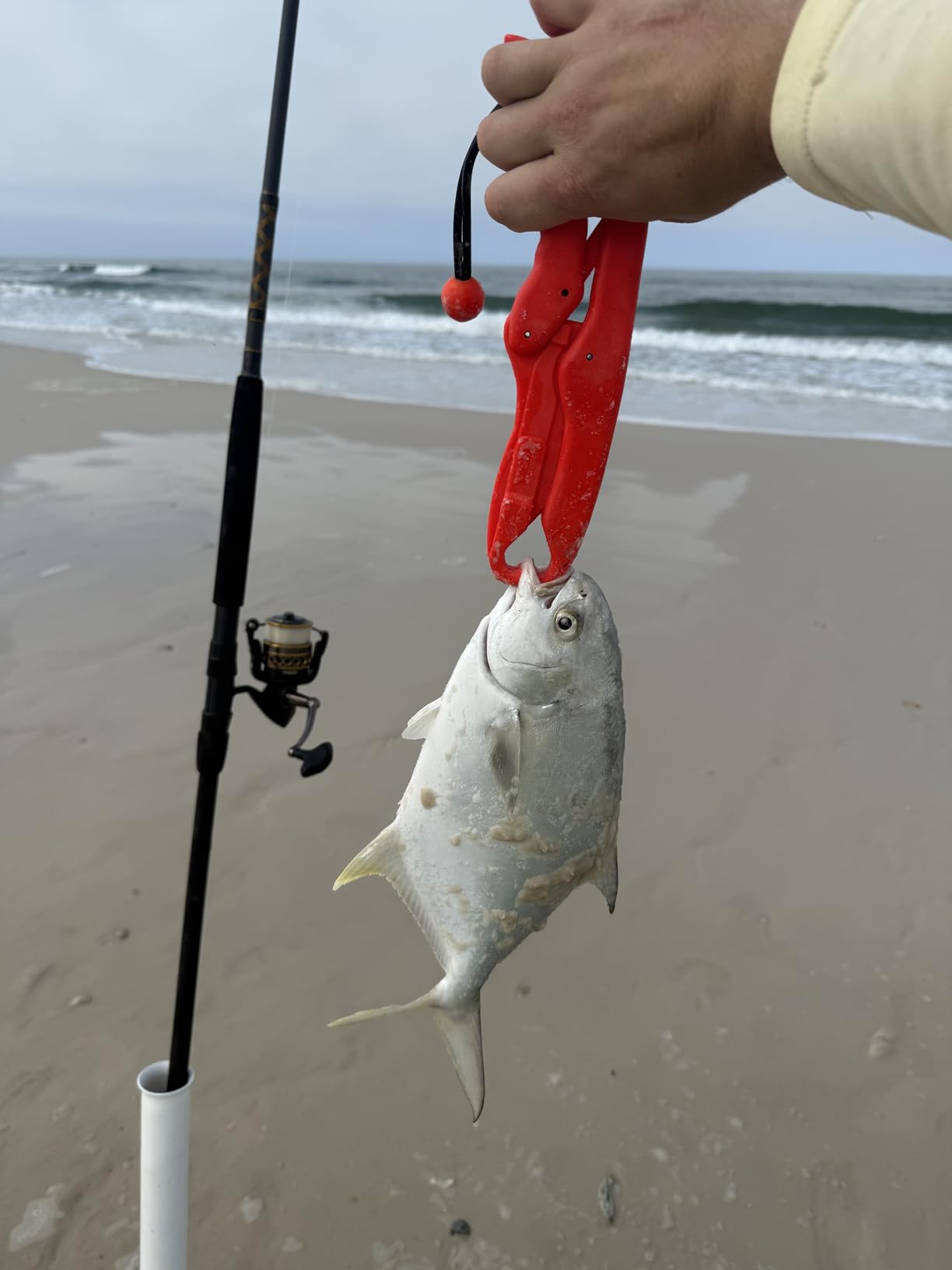 Penn Squadron IV Surf Spinning Rod customer photo 1