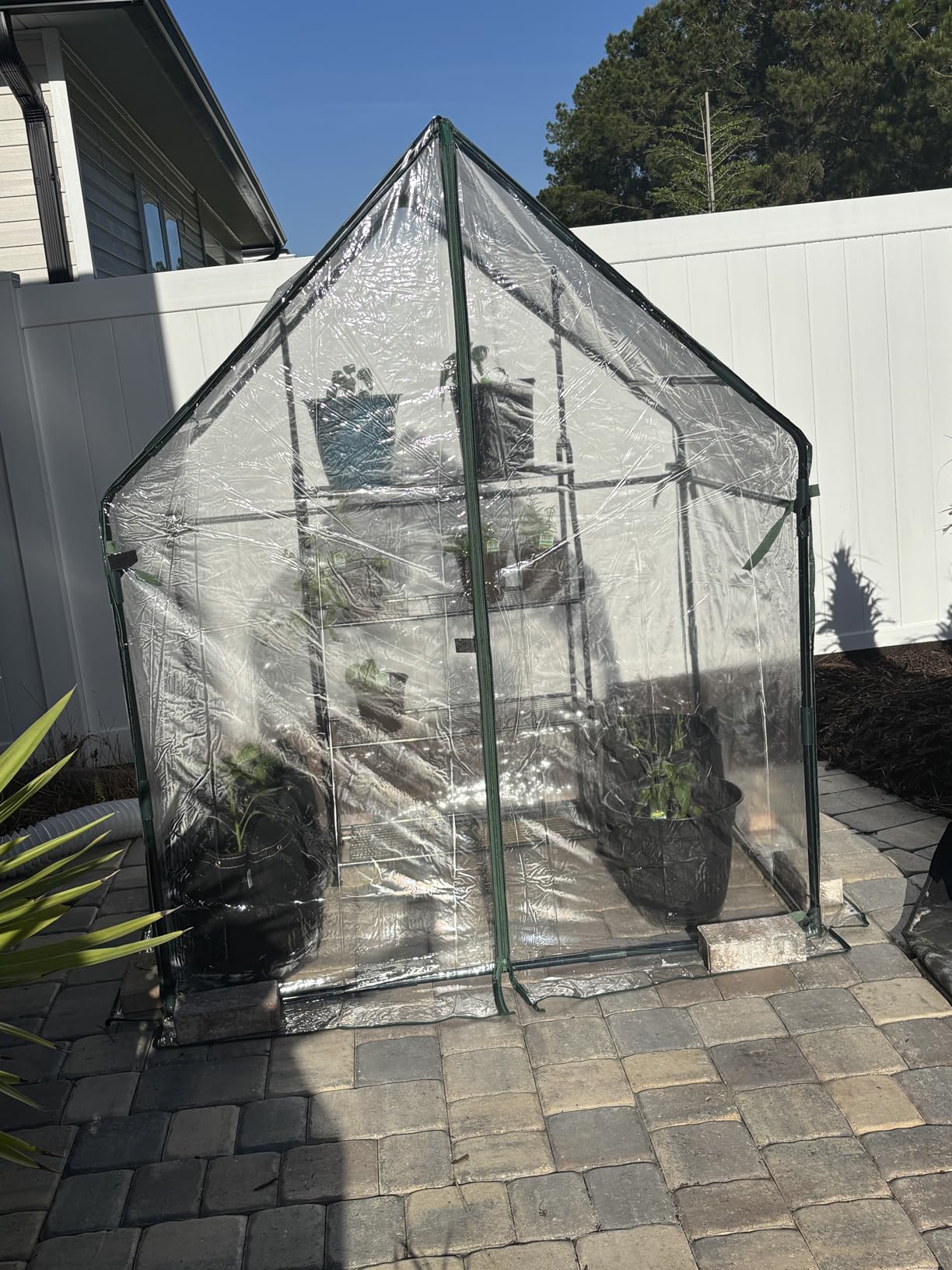 Gardzen Mini Greenhouse, Portable Cold Frame Green House Indoor Outdoor, Small Greenhouse for Seed Starting & Plant Protection, 71.7