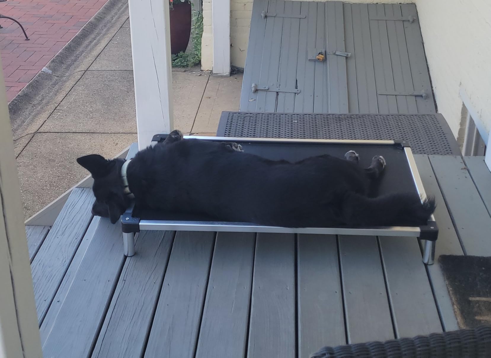 K9 Ballistics Chew Proof Elevated Cooling Dog Bed - Made for Aggressive Chewers, Virtually Indestructible, Ripstop Fabric with No Padding, Pre-Assembled - Large, Ripstop Obsidian Black customer photo 2