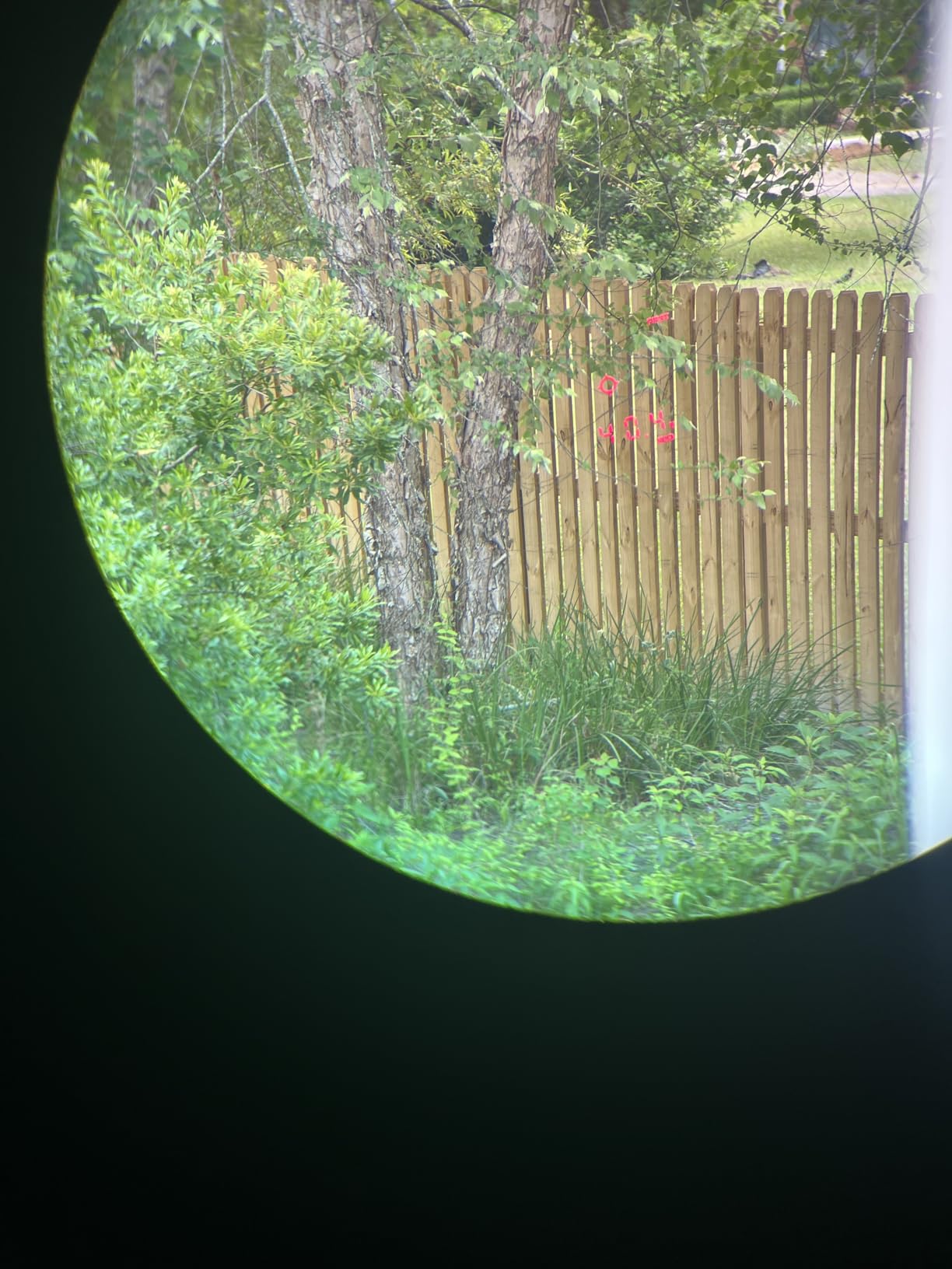 Vortex Optics Ranger HD 3000 10x42 Laser Rangefinding Binoculars customer photo 3