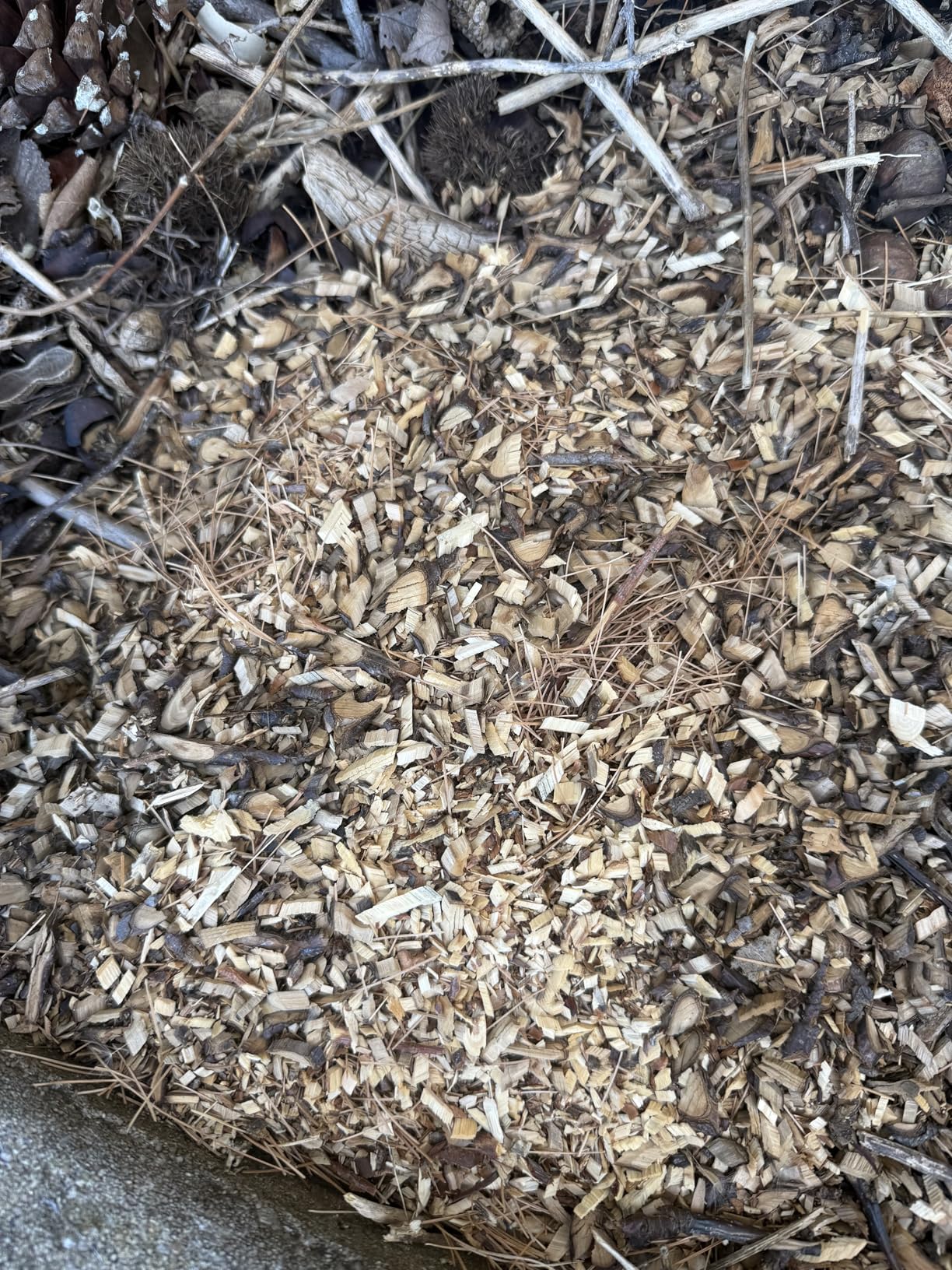 Yeryork Wood Chipper, 15-Amp 1.8