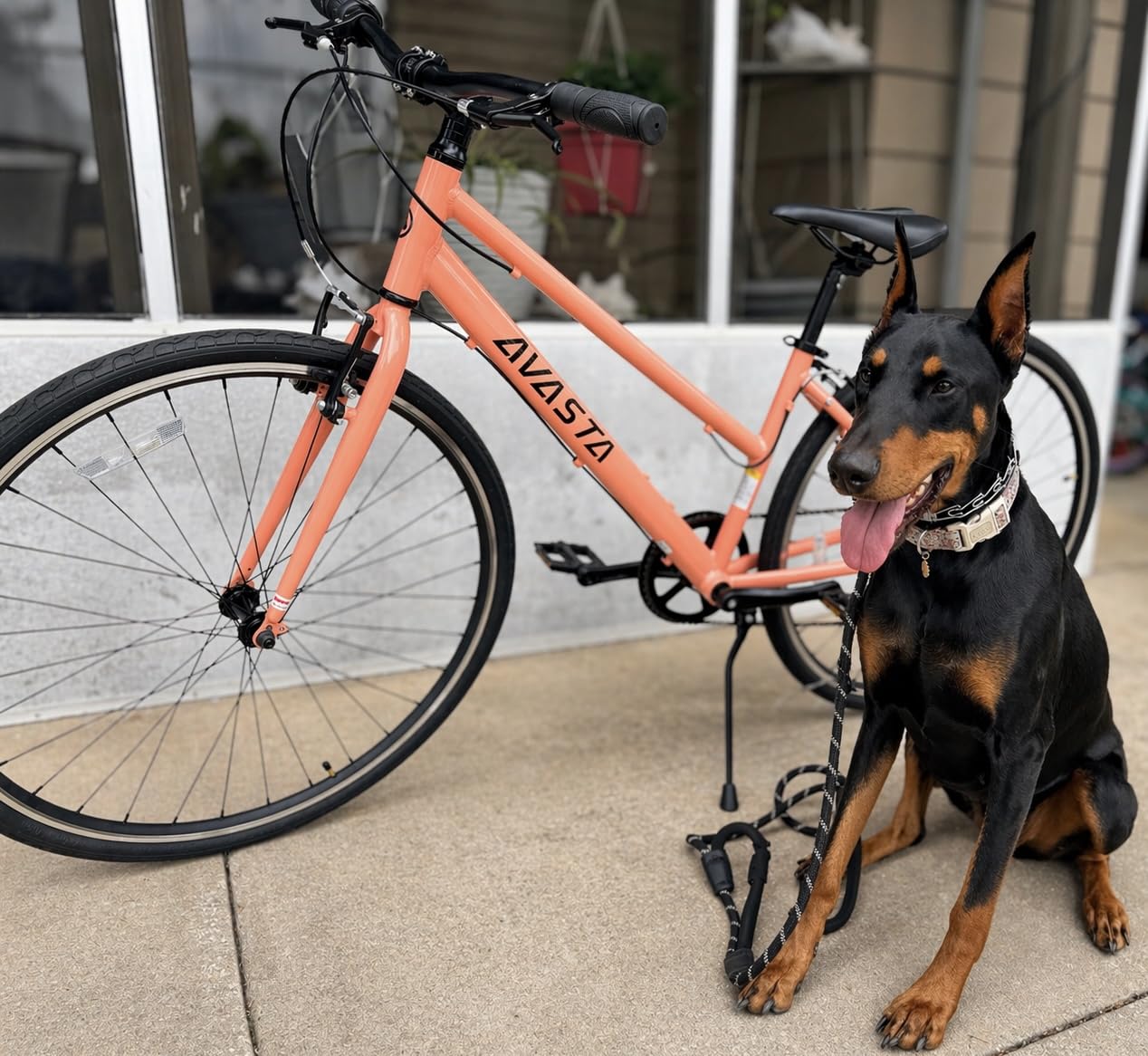 AVASTA Populus 700C Road Bike for Women, Step Through Aluminum Alloy Frame, 7-Speed Drivetrain, with Kickstand customer photo 2