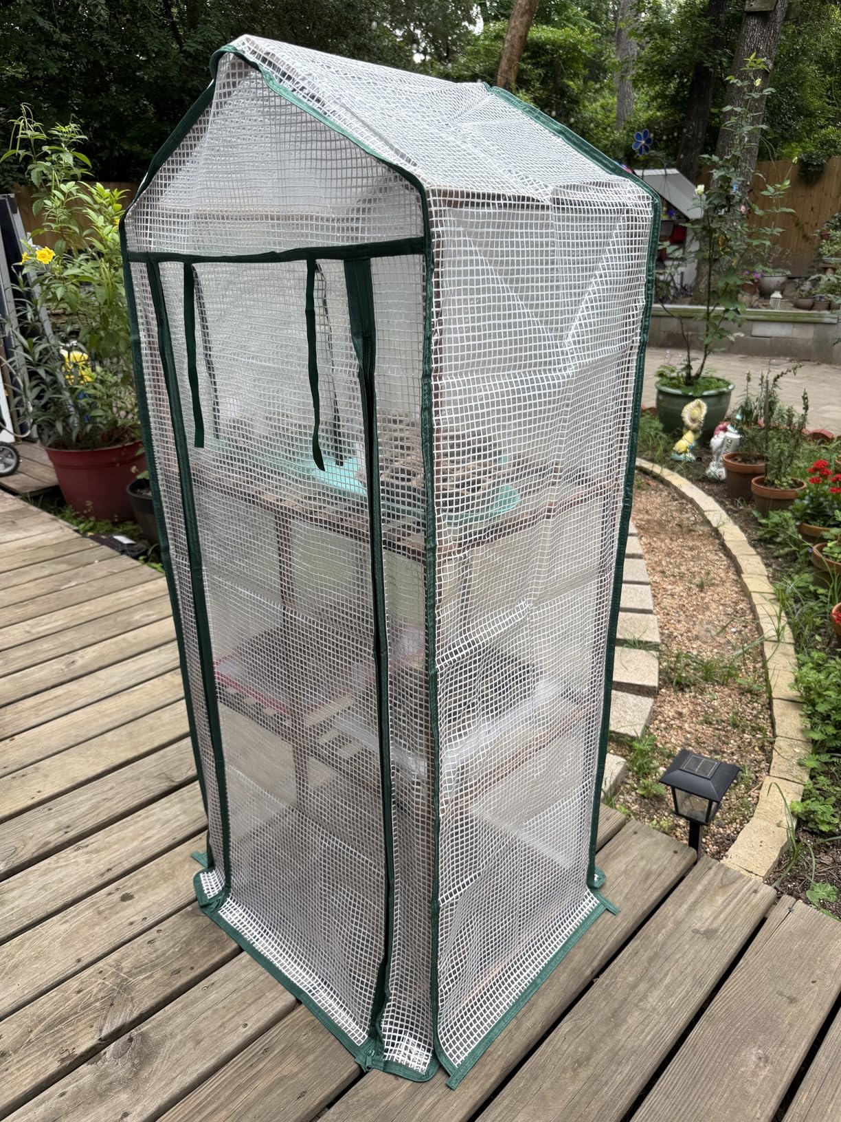 Bamworld Greenhouse for Outdoors Mini Greenhouse Indoor 3-Tier Plant Stand Portable Green Houses with PE Cover Durabled 23 x 17 x 54-Inch Wood Frame Invernaderos para Plantas customer photo 2