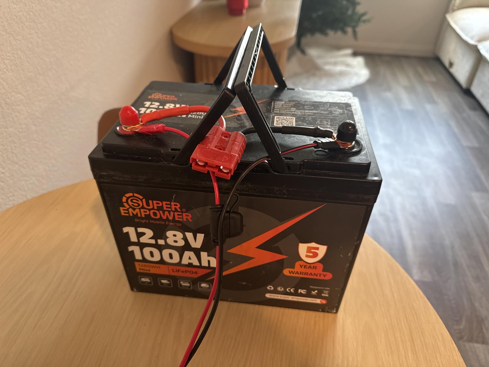 12V 100Ah LiFePO4 Lithium Battery, BCI Group 24 Deep Cycle Solar Battery with Low-Temp Protection, 100A BMS, 1280Wh, 15000 Cycles, 10-Year Lifespan for RV, Marine, Trolling Motor, Marine, Solar Use customer photo 2