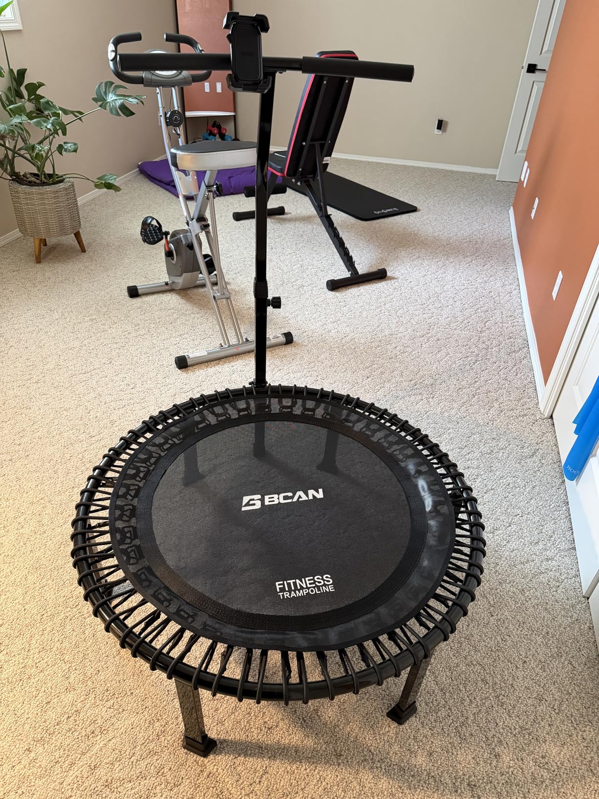 BCAN BT4 40