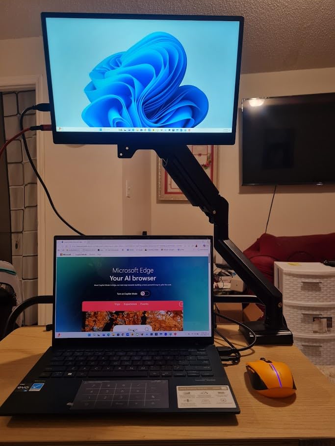 WALI Heavy Duty Single Monitor Arm for 17-49 Inch Flat Curved Ultrawide Screens, up to 33 Lbs, Adjustable Single Monitor Desk Mount for Home Office Gaming, VESA 75/100mm (GSM001XLN), Black customer photo 1