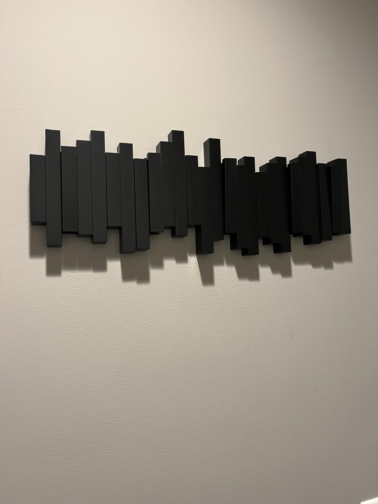 Umbra Sticks Wall-Mounted Coat Rack Rail Hook with 8 Retractable Pegs - Modern, Space-Saving Storage Organizer, Black customer photo 1