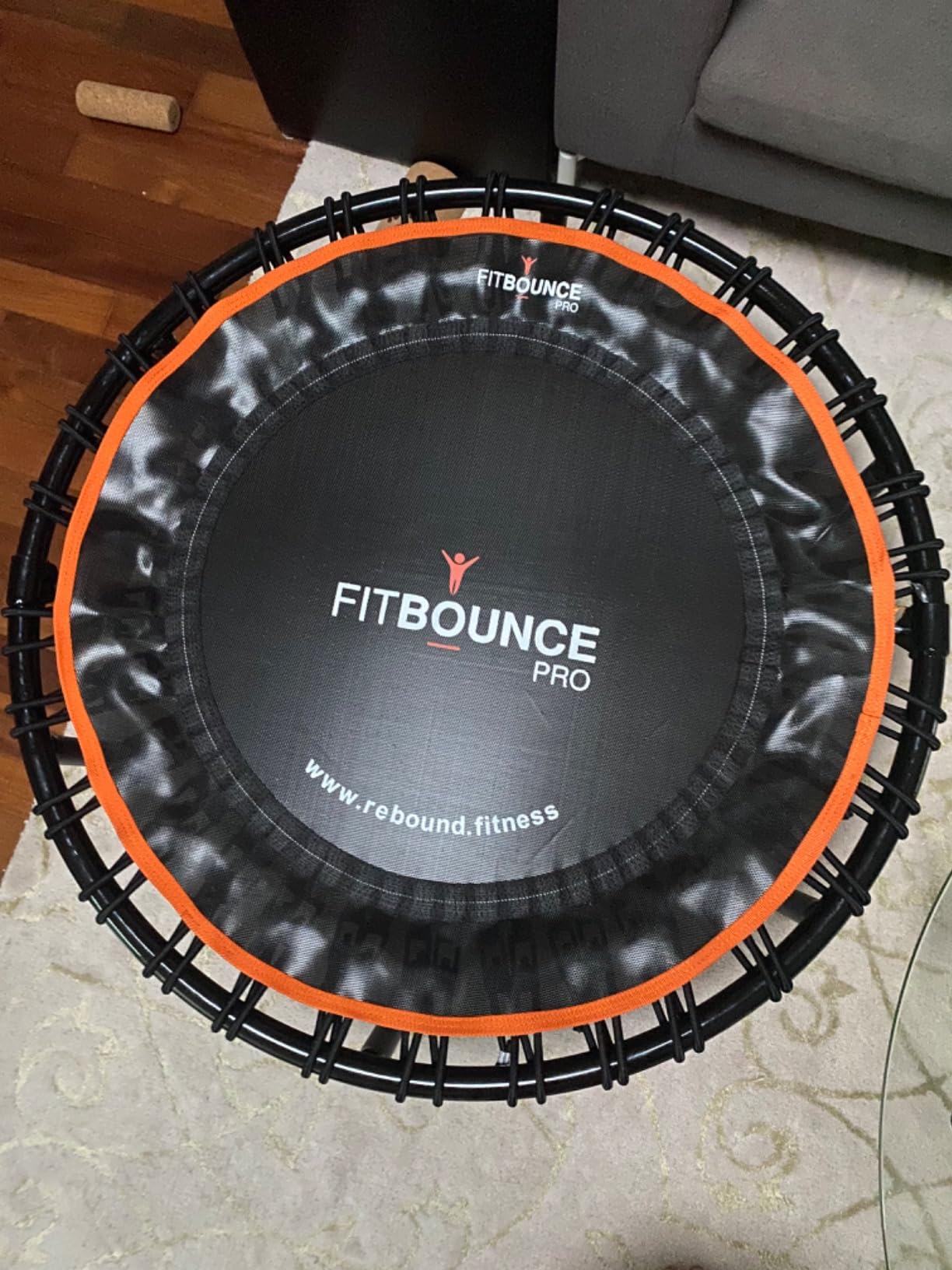 MXL FIT Bounce PRO Bungee Rebounder - Premium Indoor Mini Trampoline for Adults, Silent Low-Impact Bounce, Half-Folding with Foldable Steel Legs & Carry Bag - 40 in, 400lb customer photo 2