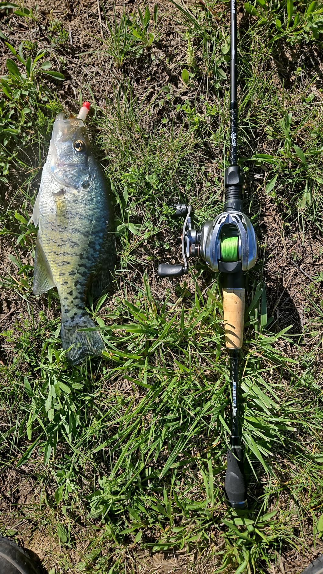 KastKing Spartacus II Plus Twin-Tip Spinning & Casting Rods, IM6 Graphite Blanks, Stainless Steel Frame with Zirconium Oxide Rings, 2-Piece Rods with Extra Tip Section, PTS, No-Slip Grip, Hook Keeper customer photo 1