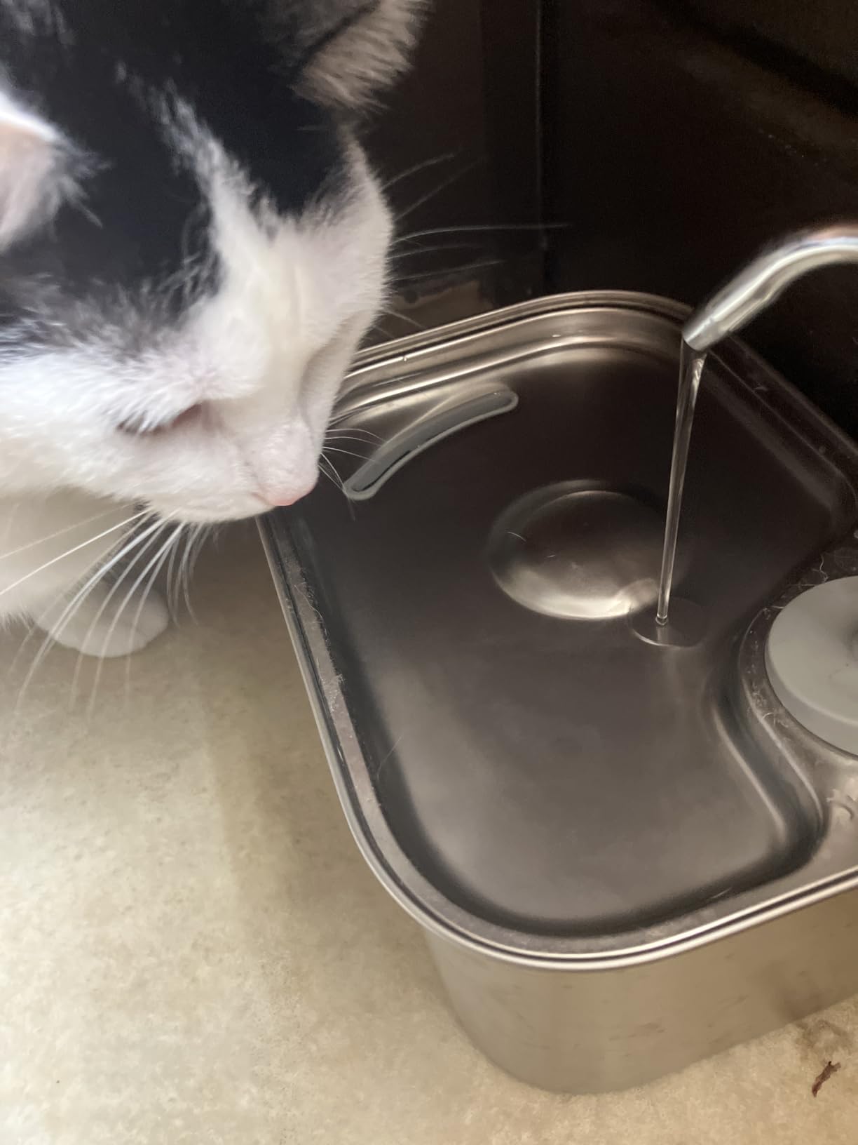 Cat Water Fountain Stainless Steel for Cats Indoor 2.5L 85oz by BPA-Free SUS304, Effective 6-Layer Filter Cat Fountain for Drinking 20dB Ultra Quiet & Soft Flow Metal Pet Water Fountain customer photo 1