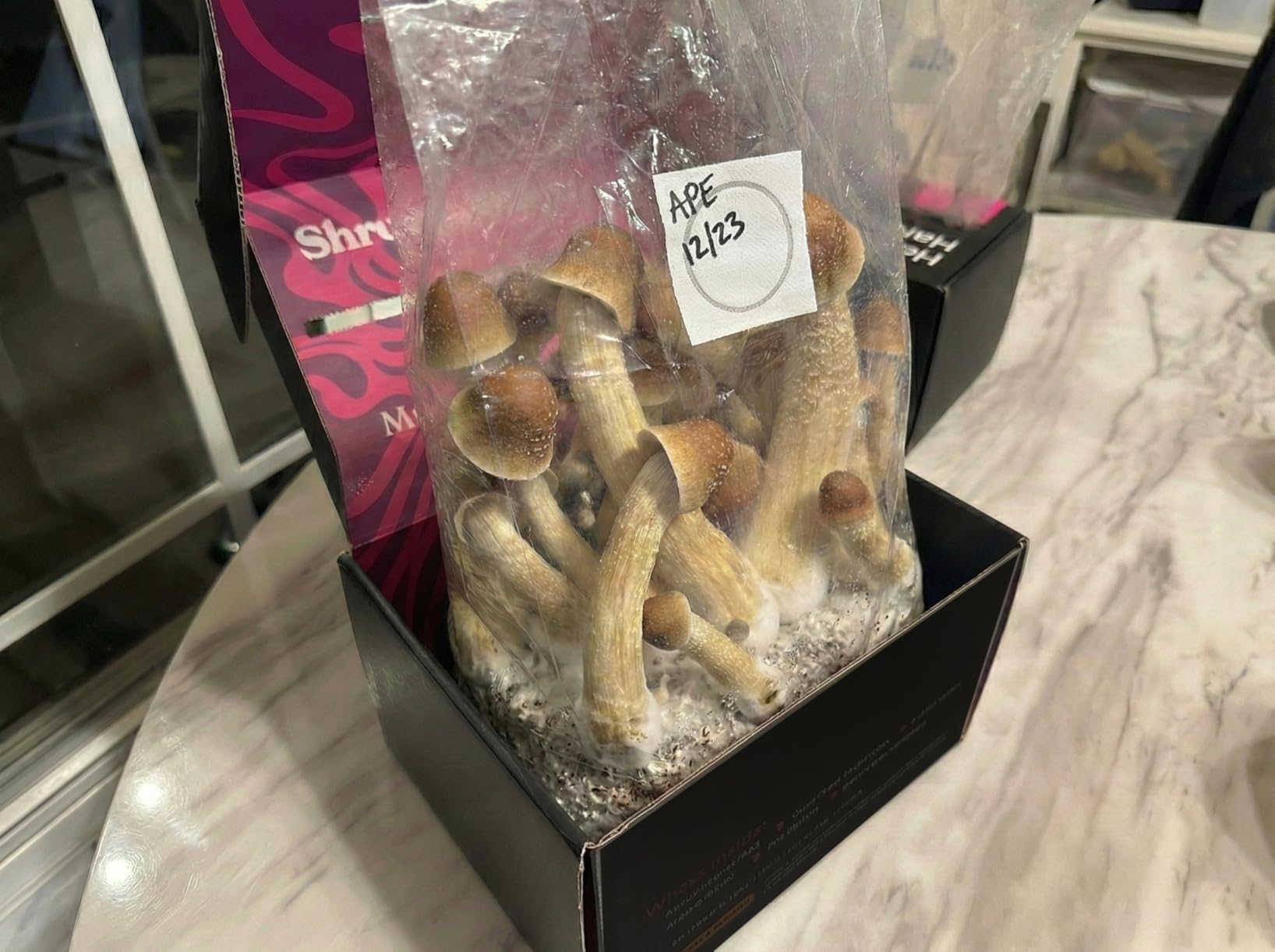 Mushroom Grow Kit - All-in-One 4LB Grow Bag with Injection Port - Fast-Colonizing Premium Substrate for Exotic & Gourmet Fungi customer photo 1