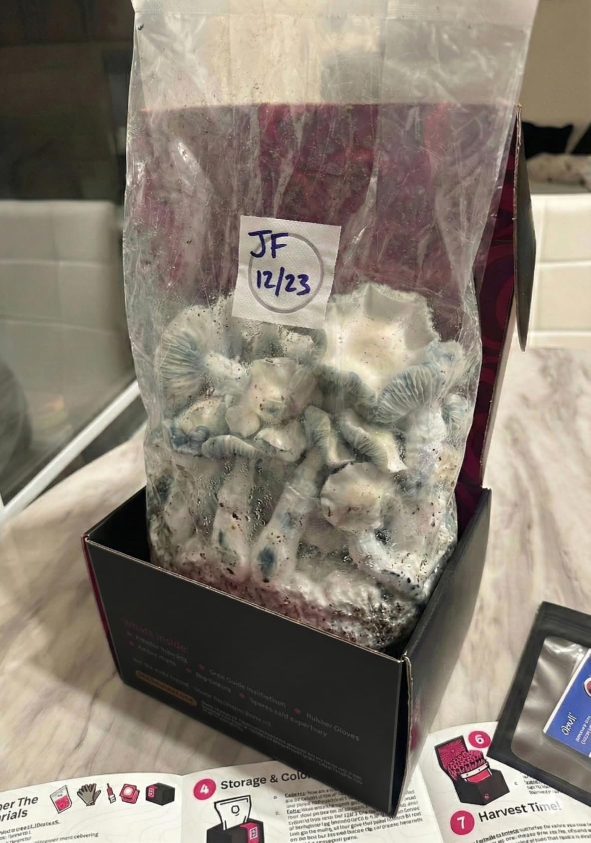 Mushroom Grow Kit - All-in-One 4LB Grow Bag with Injection Port - Fast-Colonizing Premium Substrate for Exotic & Gourmet Fungi customer photo 2