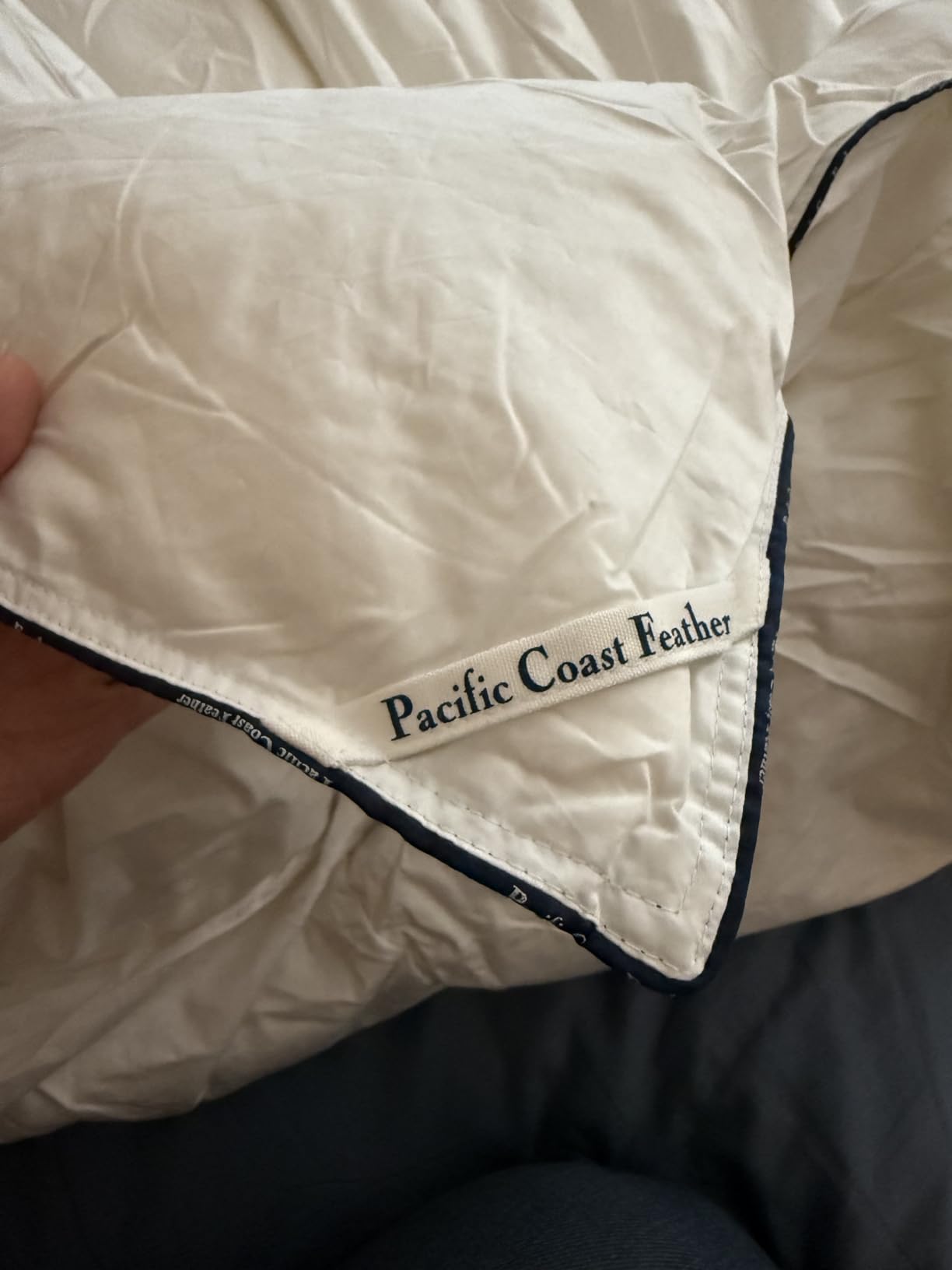 Pacific Coast Premium Goose Down Fiber Comforter Queen Size, 420TC 100% Australian Cotton Shell, All-Season Comforter with Hidden Baffle Box & Double-Stitched Piping (90