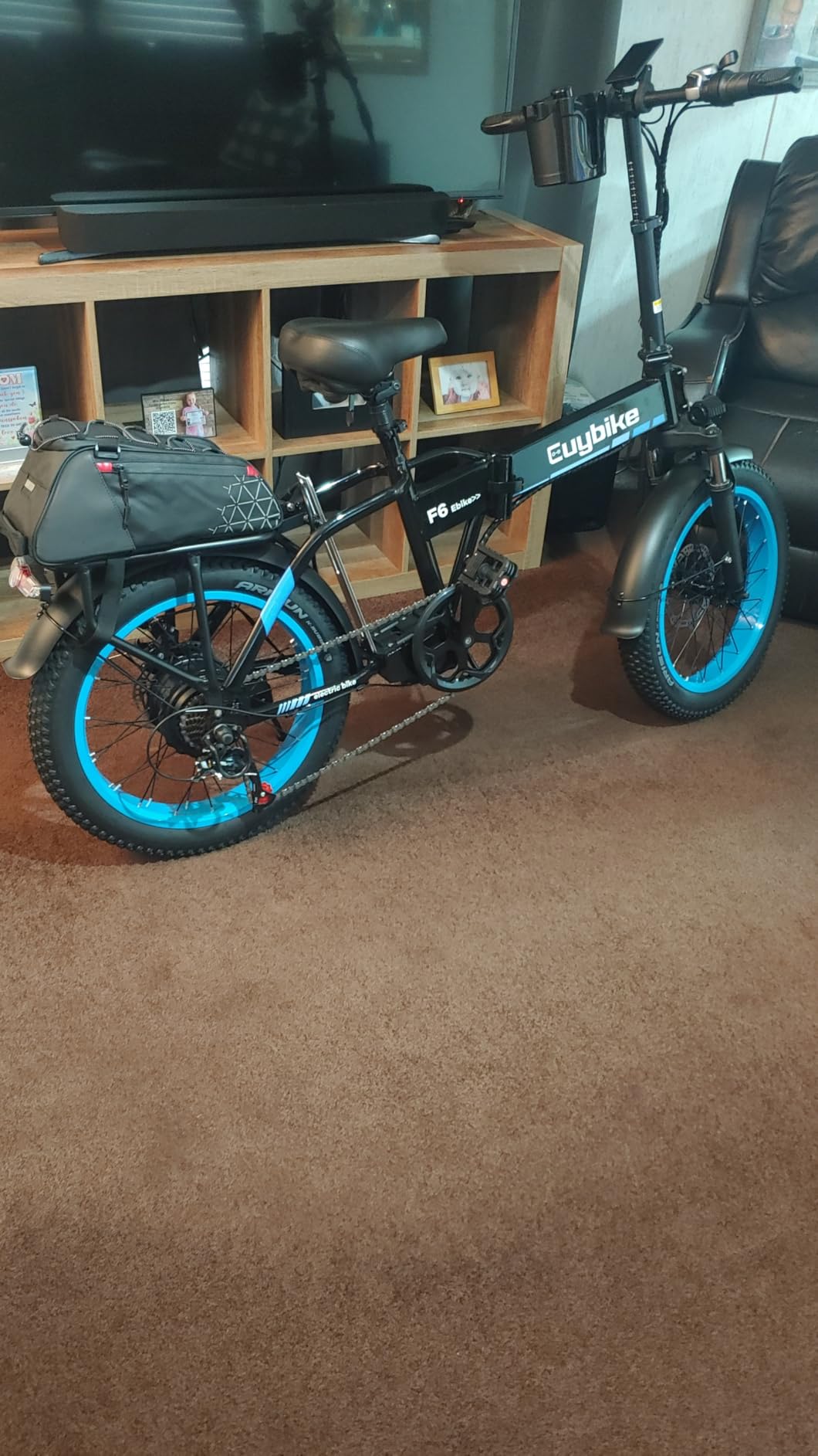 bluebiko 1000W Folding Electric Bike, 48V 20AH Large Removable Battery E Bike, 80 Miles Max Range, 20