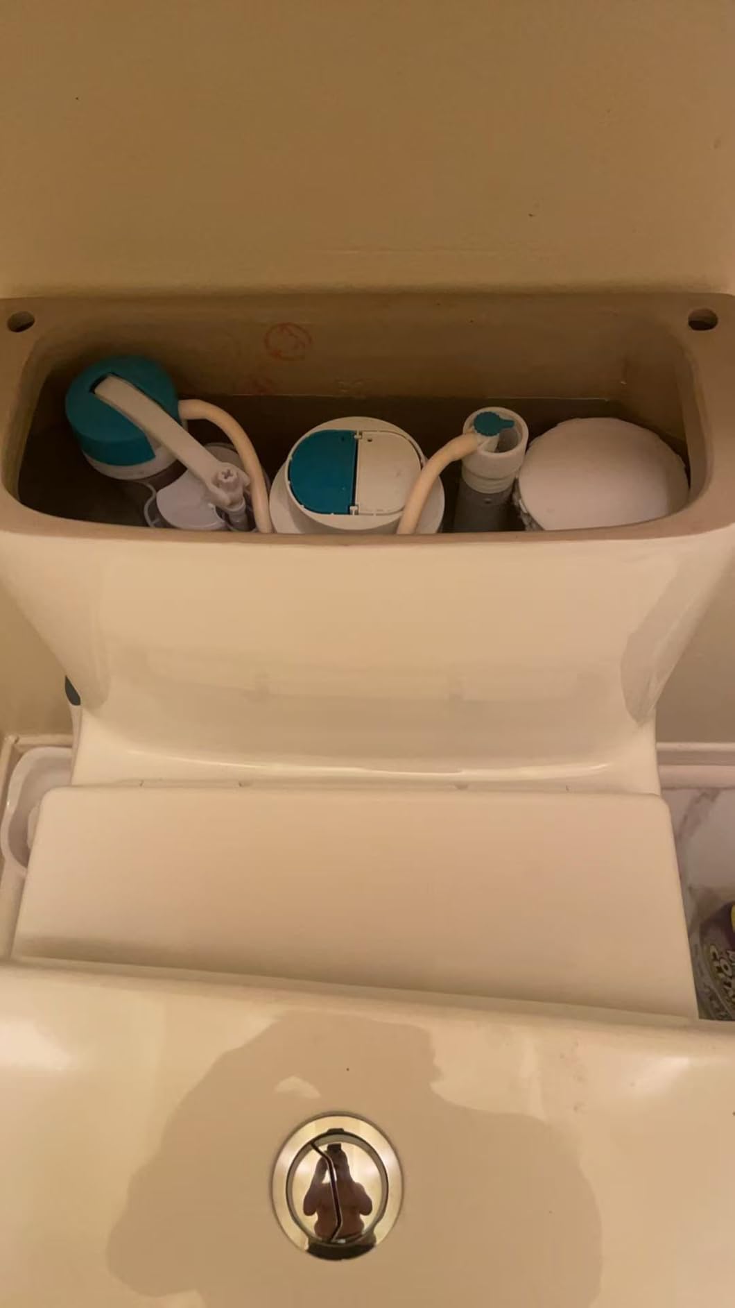 Casta Diva One Piece Toilet Elongated with 17.5