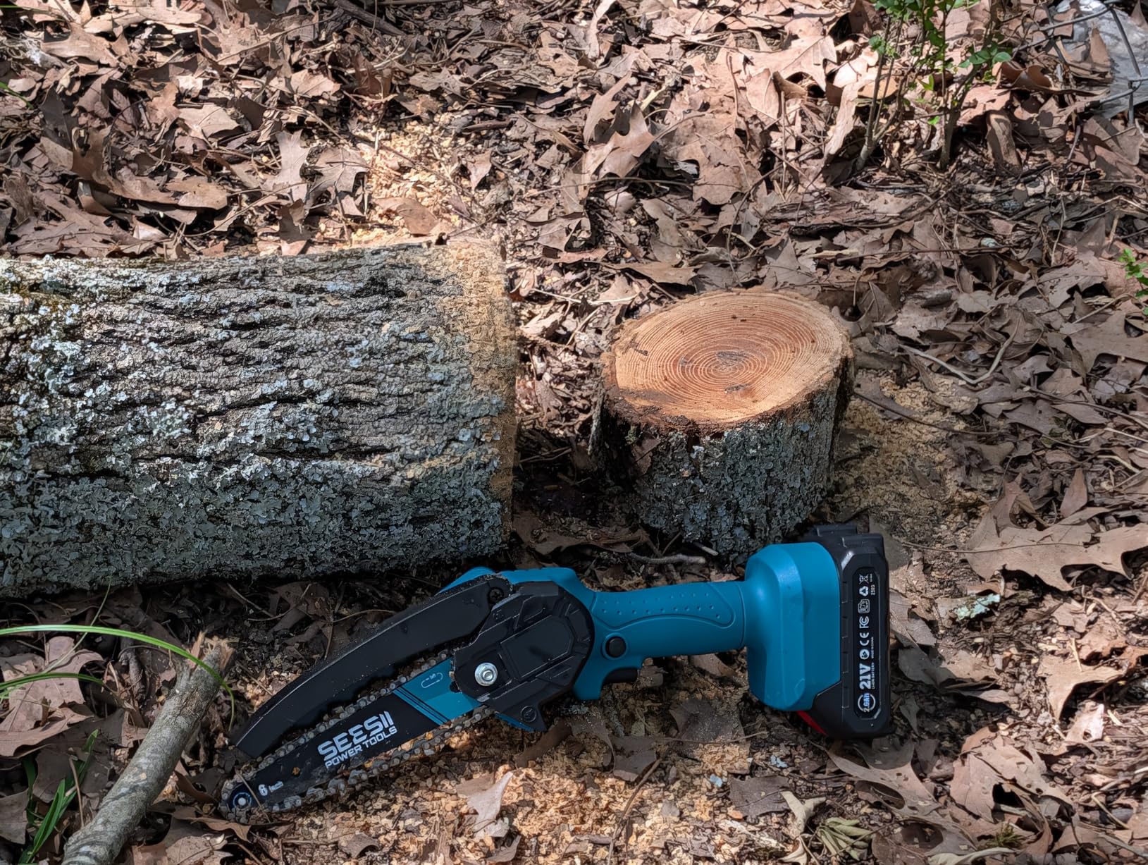 SEESII 2-in-1 Electric Pole Saws: Brushless Mini Chainsaw Cordless 6 Inch, 2 x 4000mAh Batteries, Pole Saw for Tree Trimming,Hand held Chain Saw with Extension Pole for Tree Limb Branch Cutter,P6 Ace customer photo 1